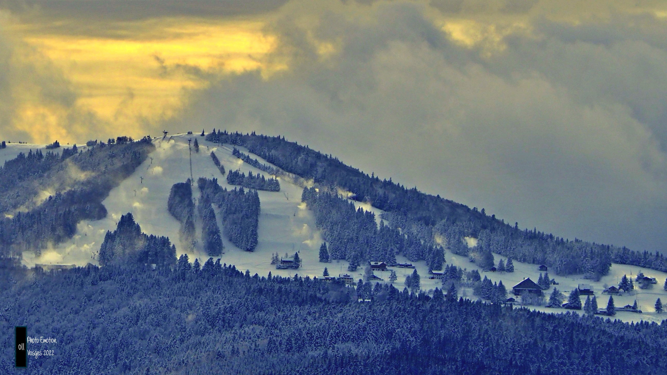 Silence and white firs in the Vosges