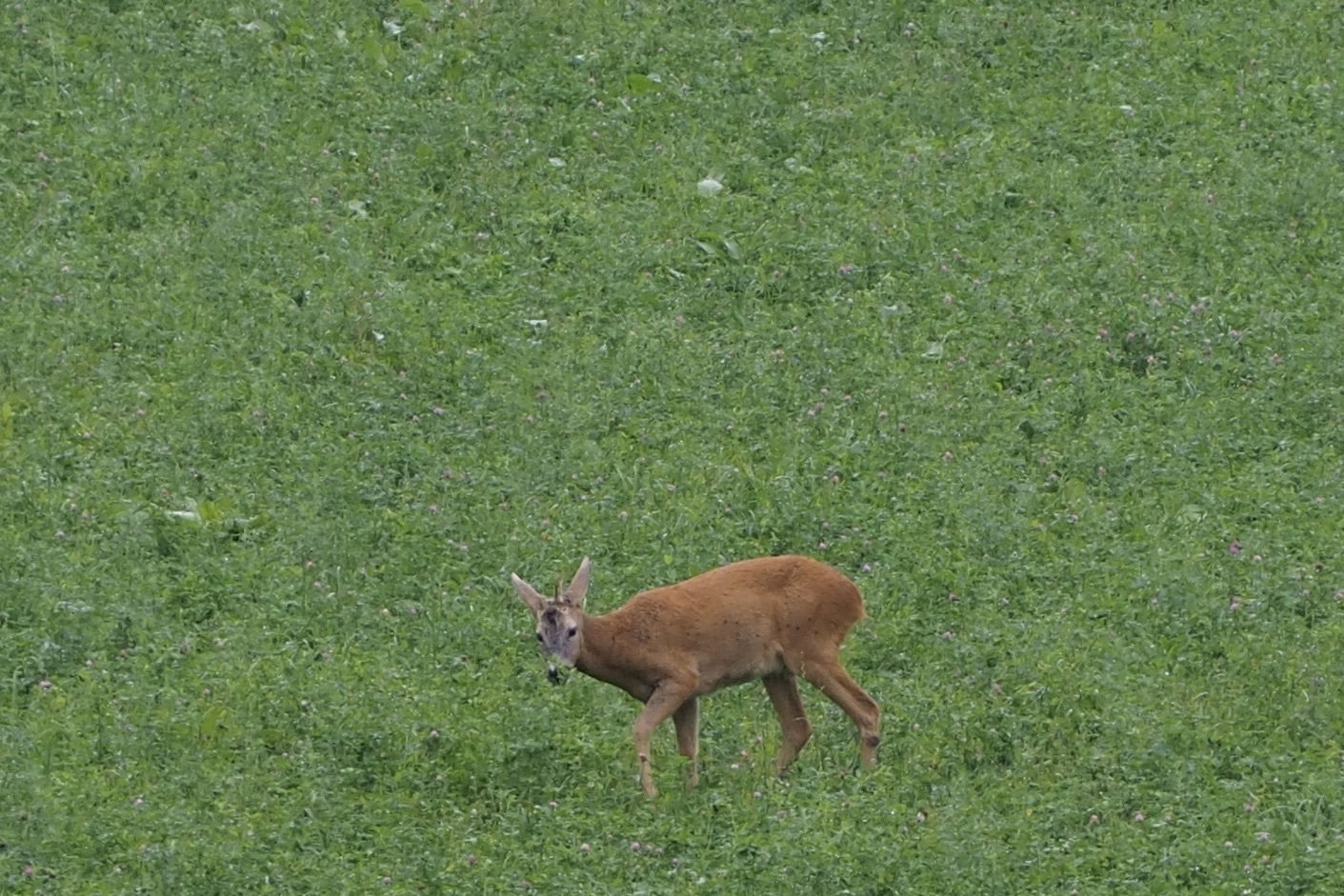 The most beautiful encounters are always unexpected.