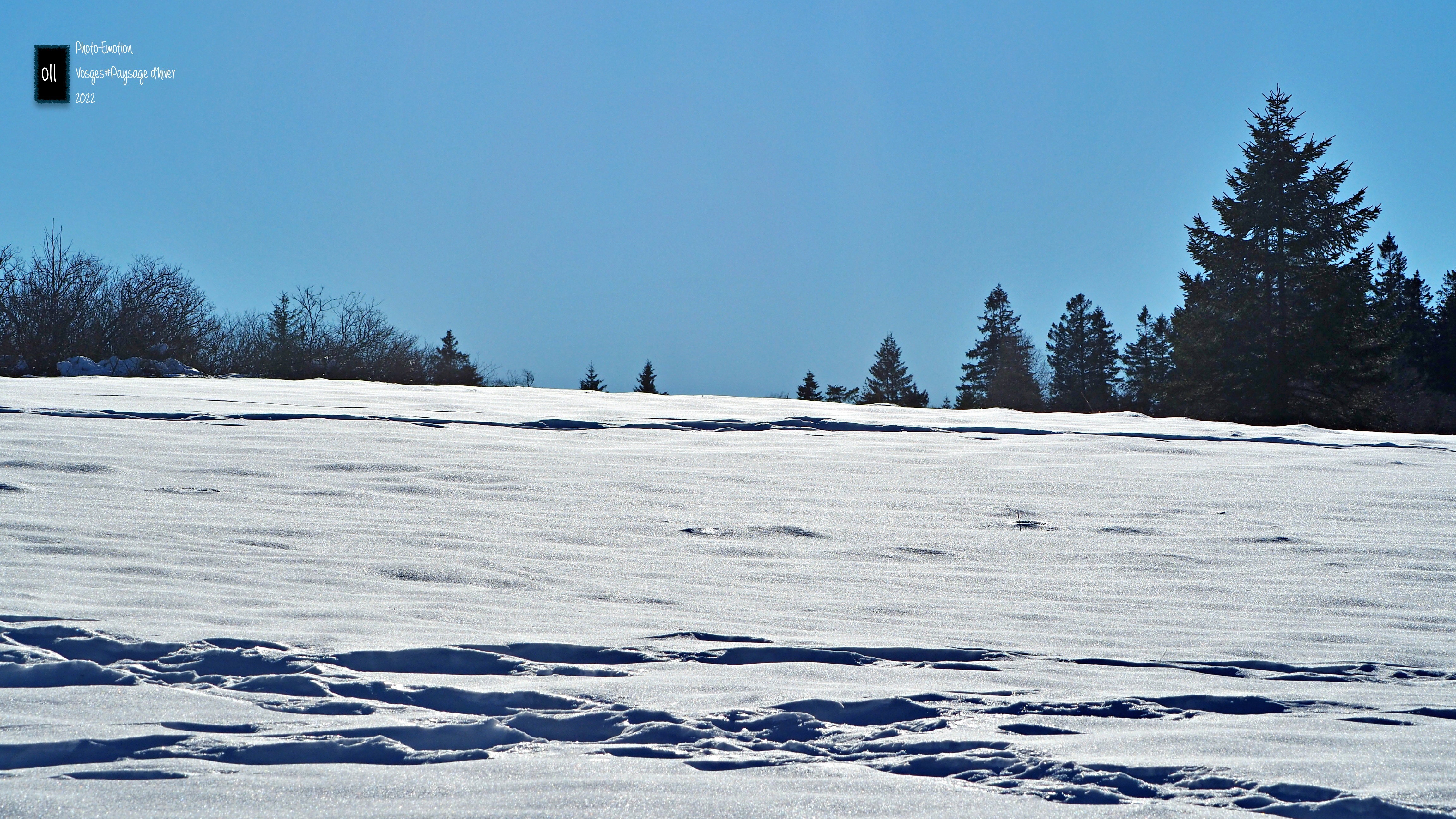 Winter landscapes in the Vosges