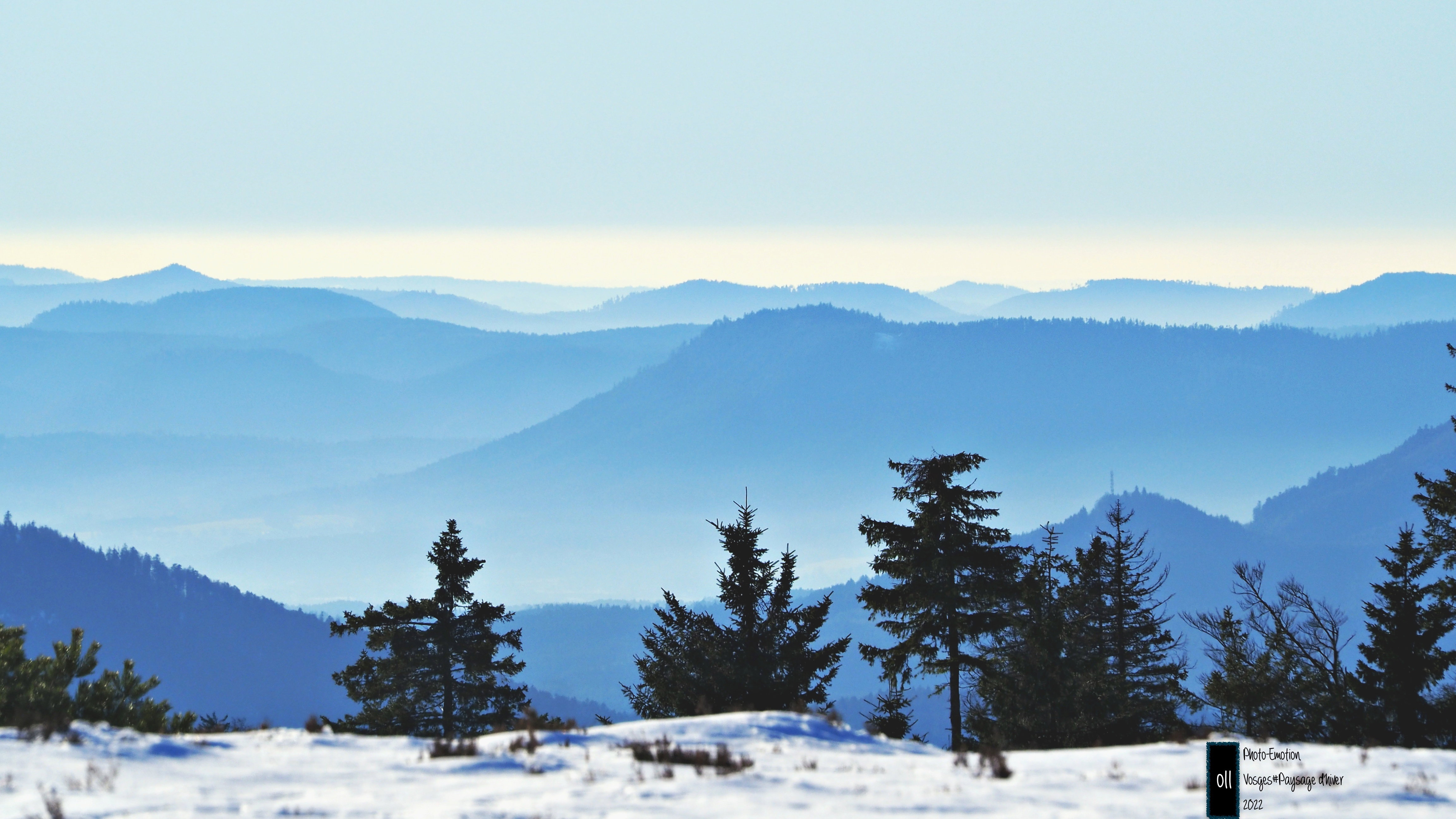 Winter landscapes in the Vosges