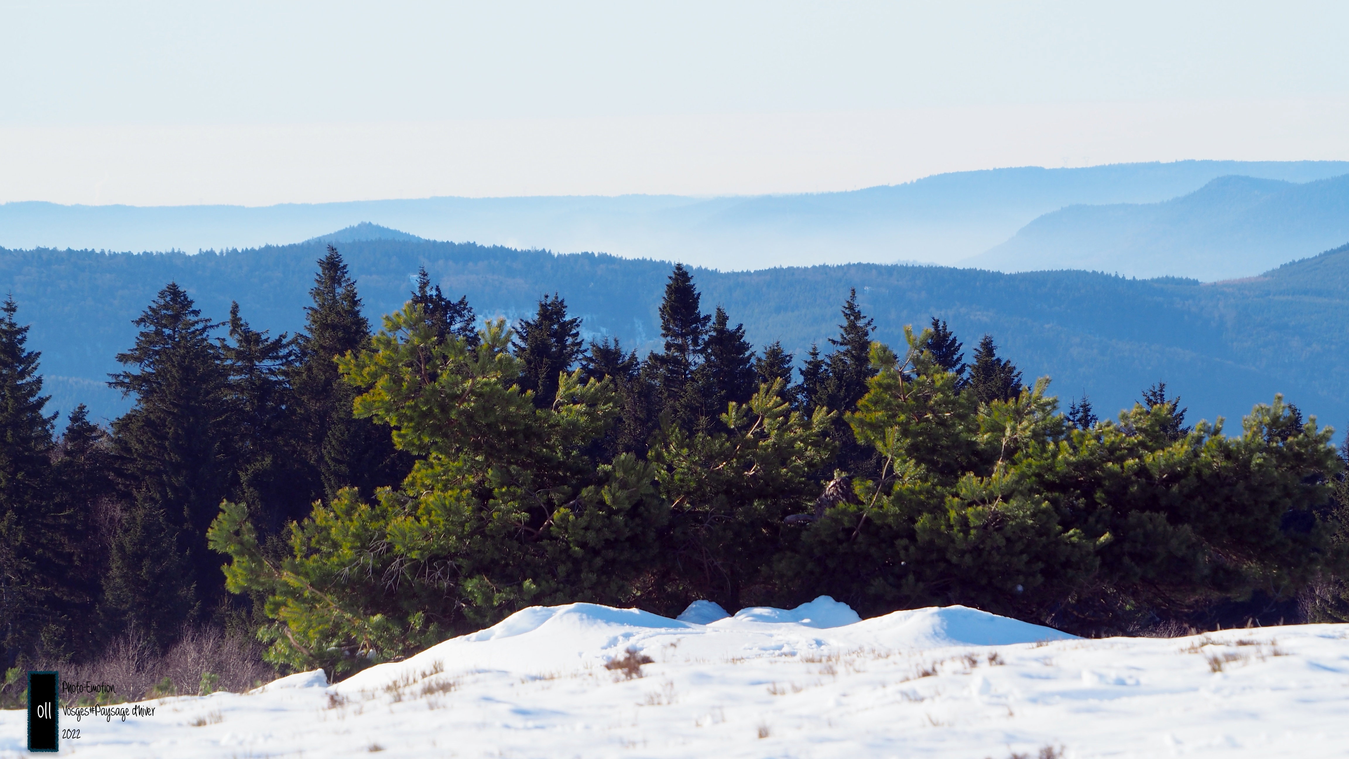 Winter landscapes in the Vosges