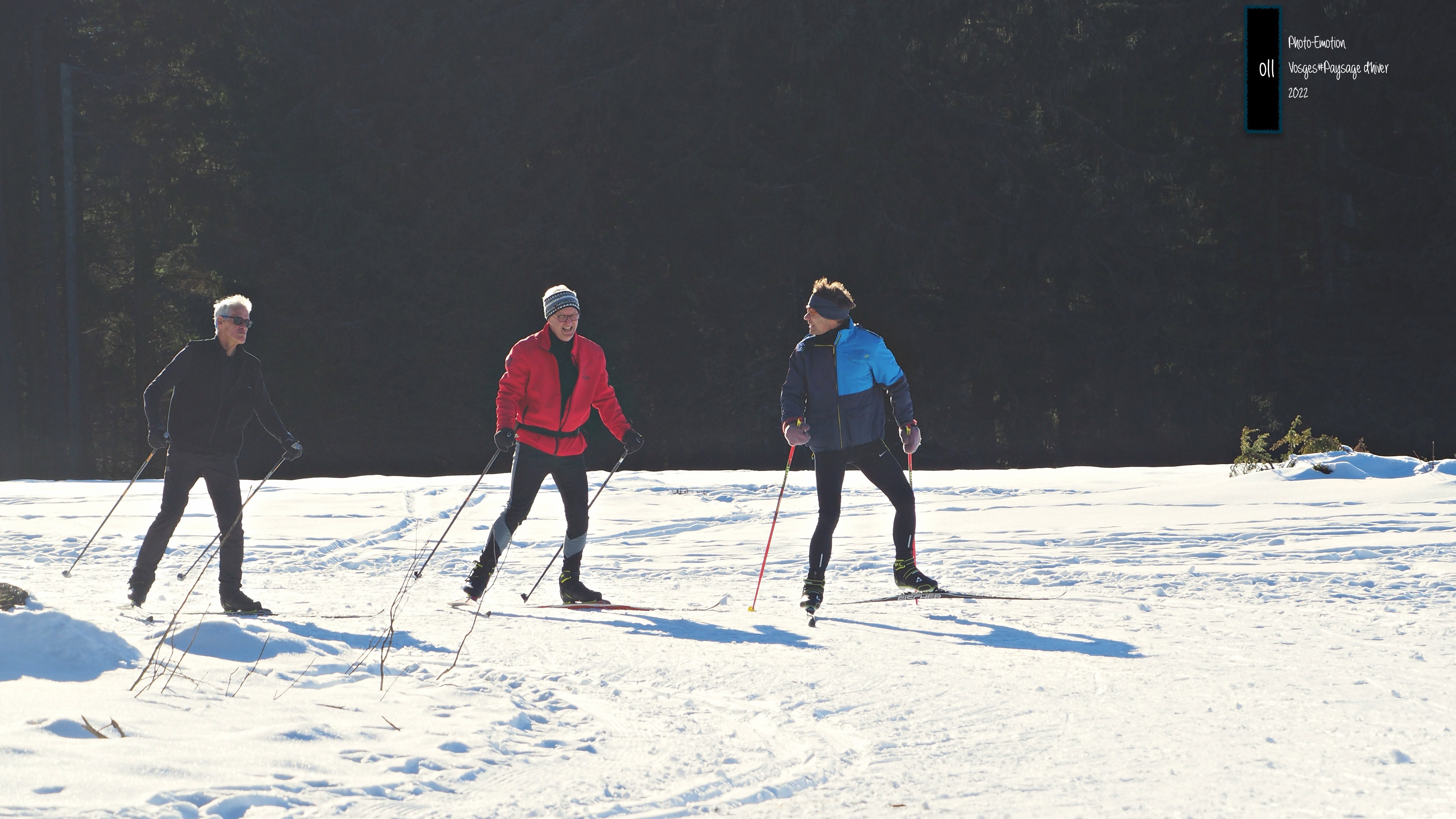 Winter landscapes in the Vosges