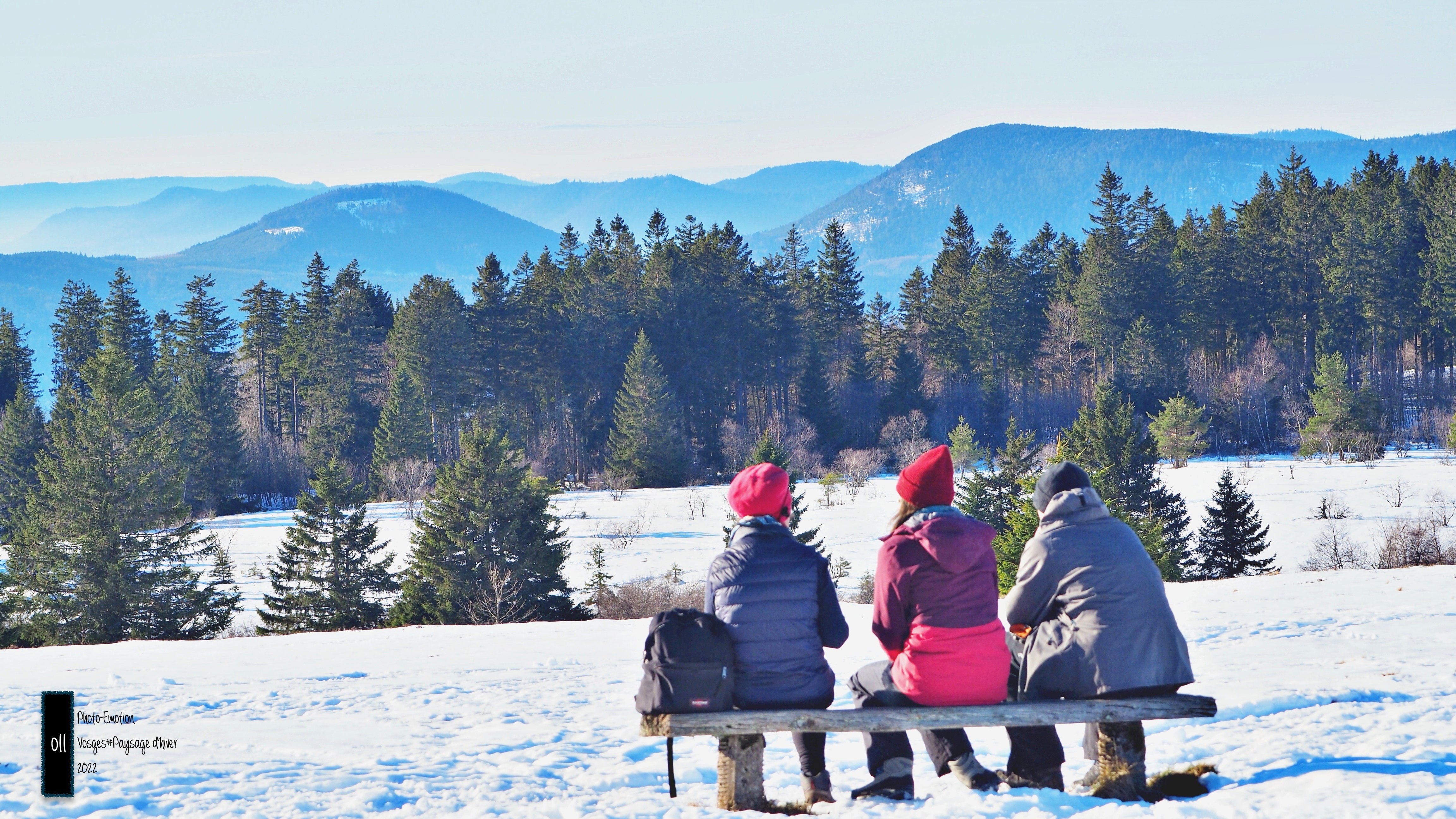 Winter landscapes in the Vosges