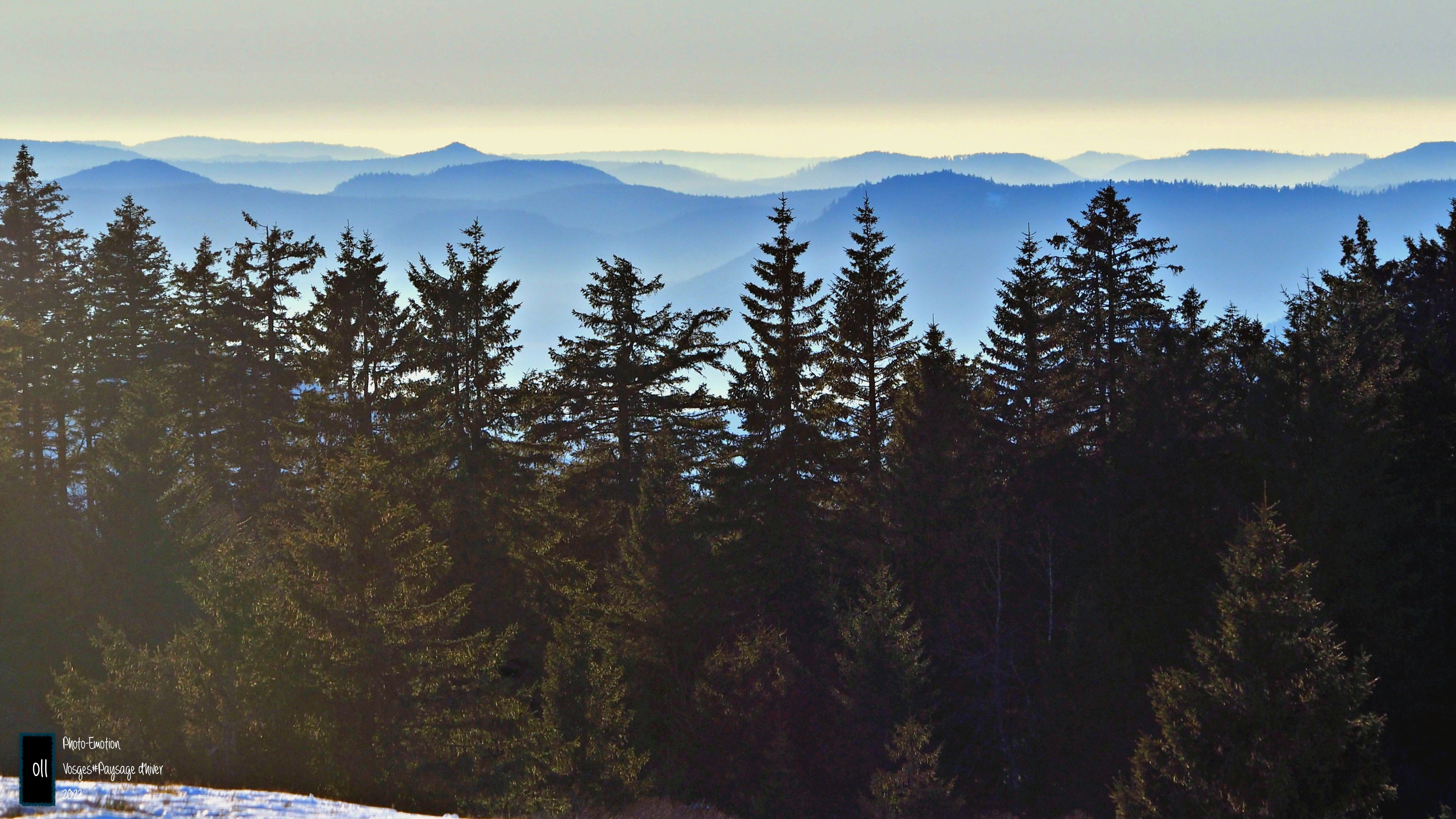 Winter landscapes in the Vosges