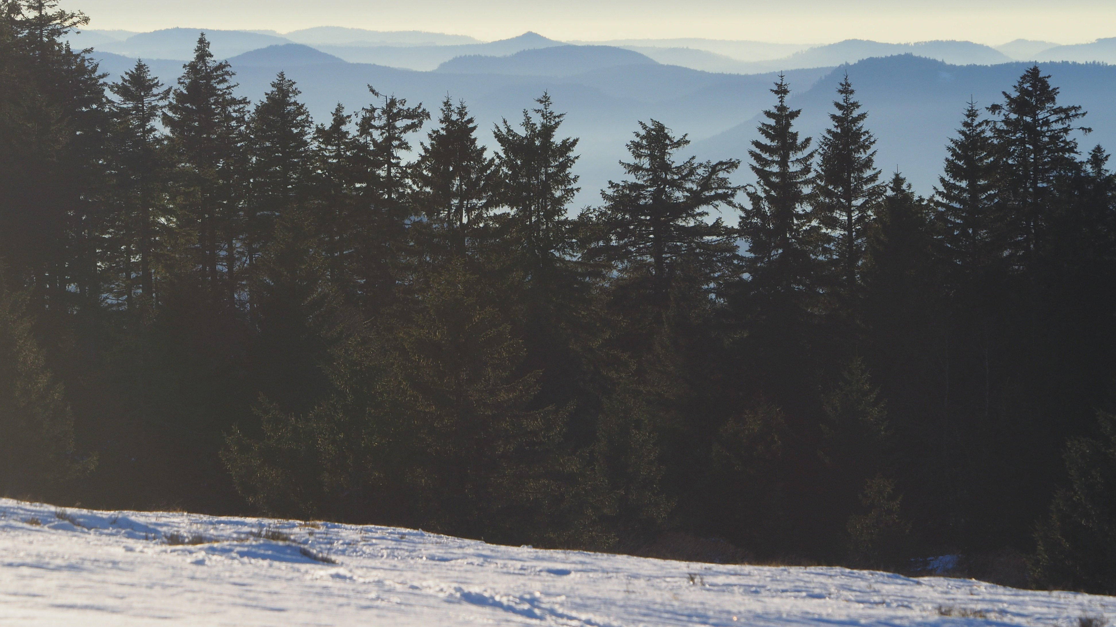 Winter landscapes in the Vosges