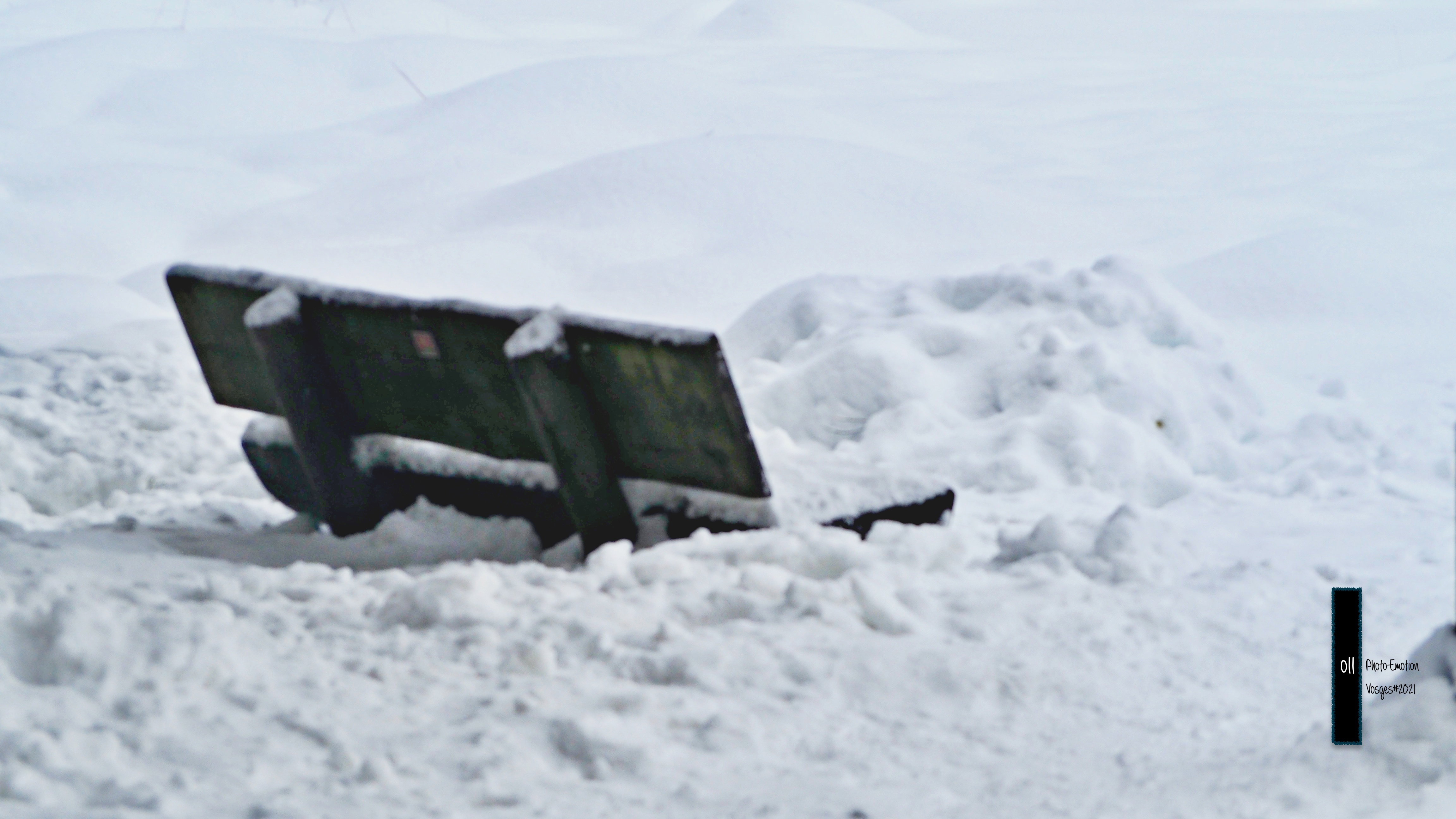 The snow