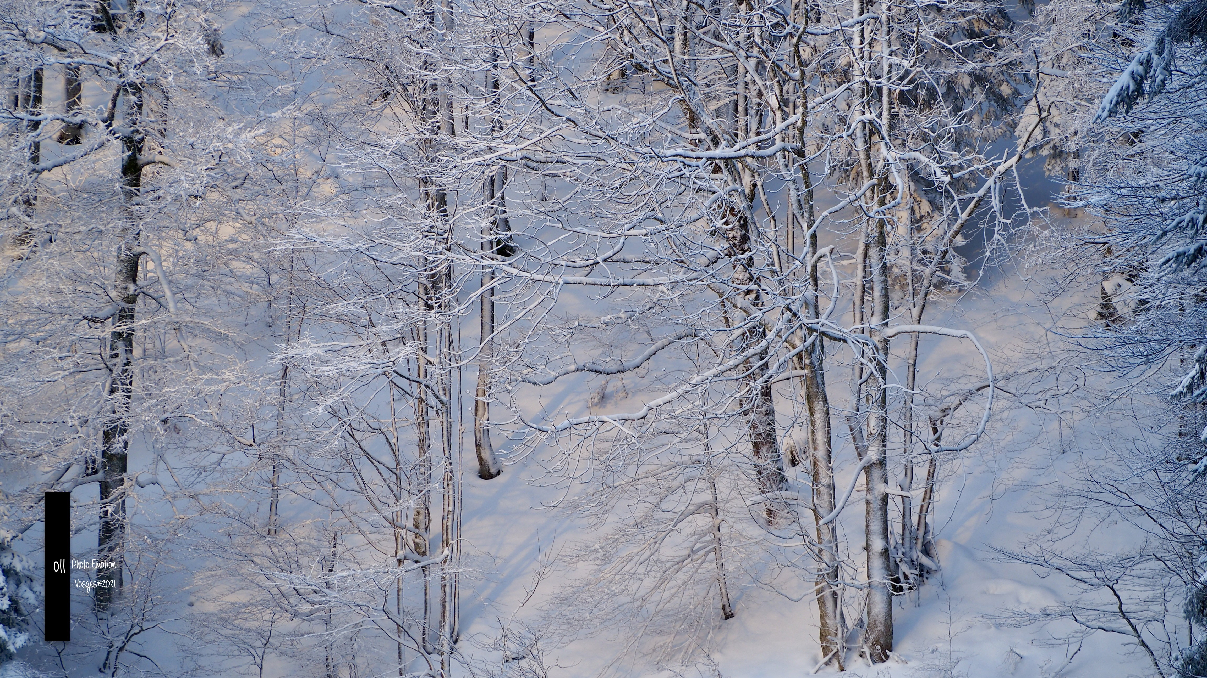 The snow