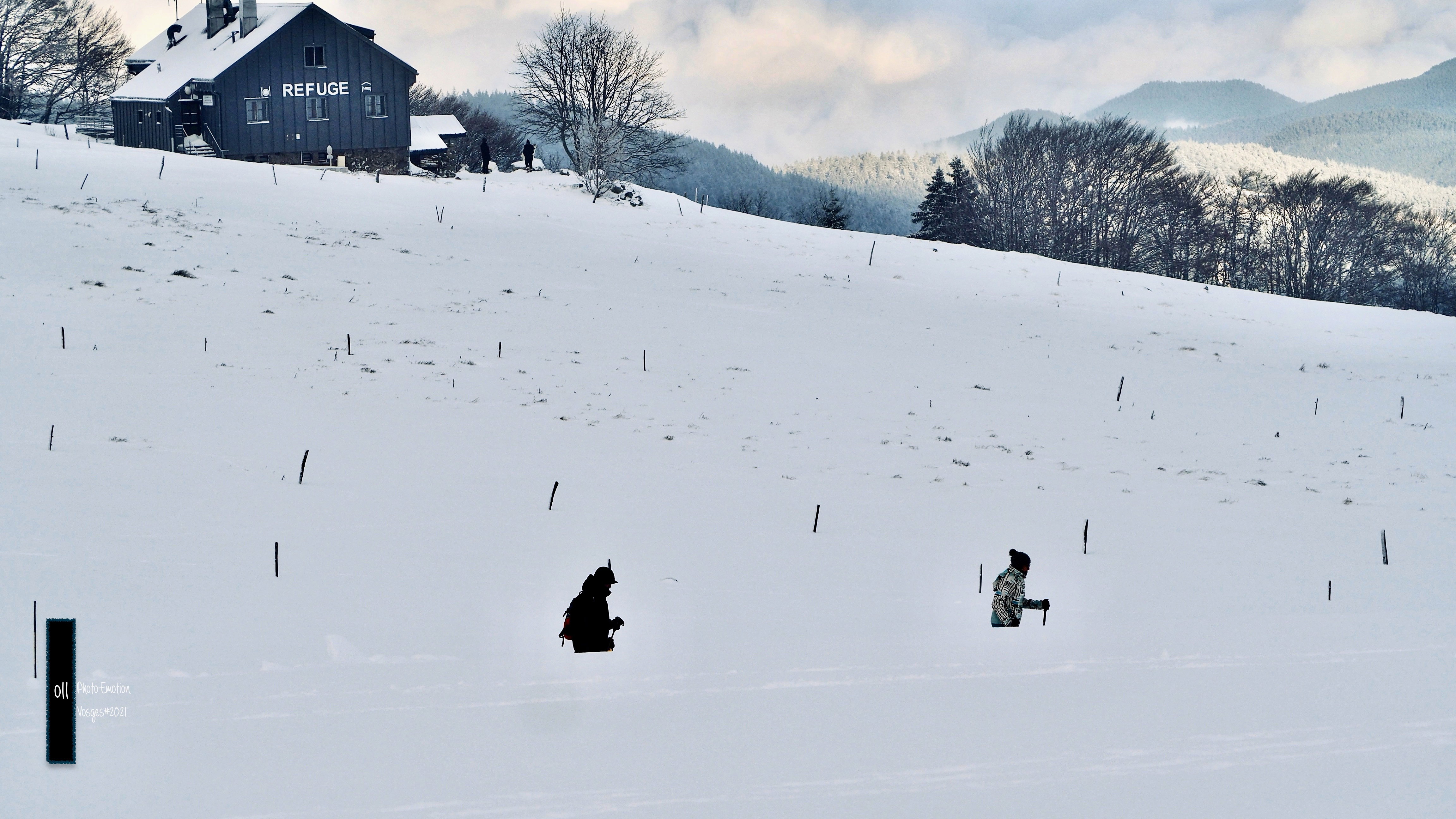 The snow