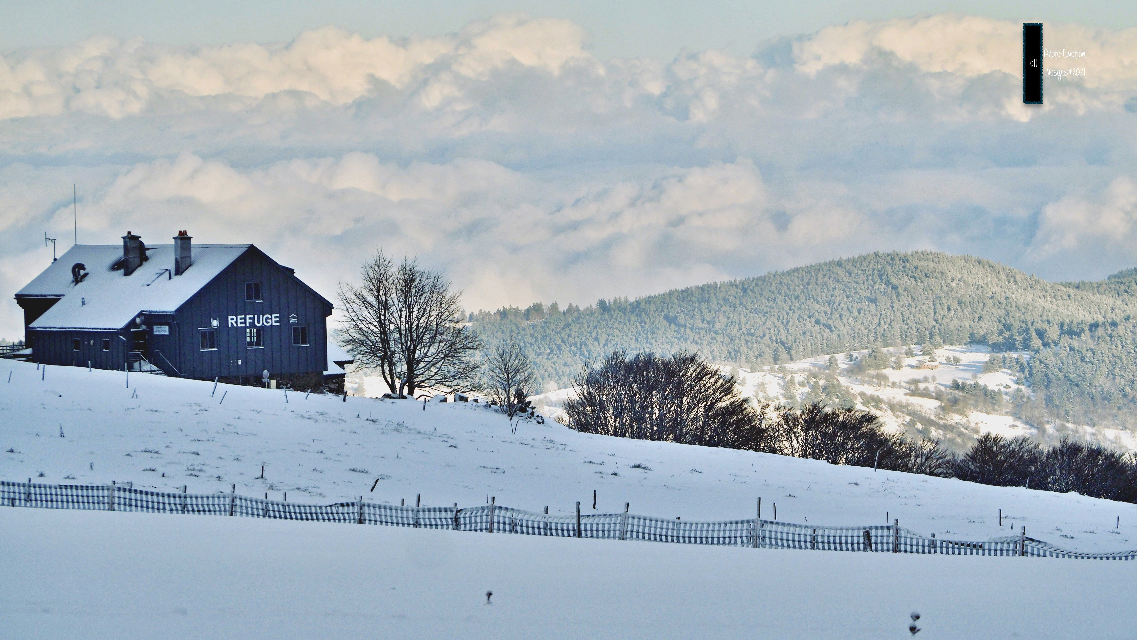 The snow