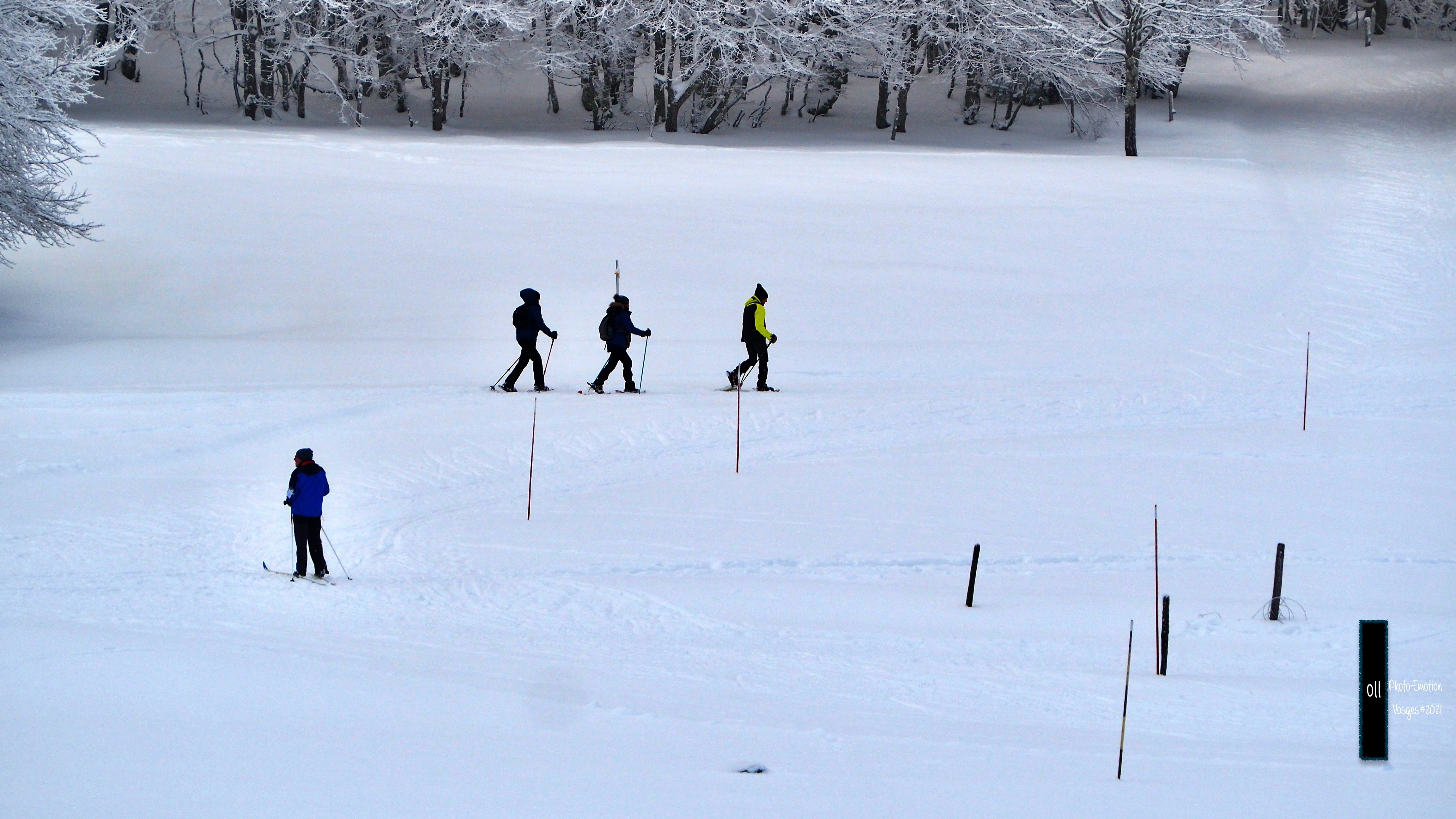The snow