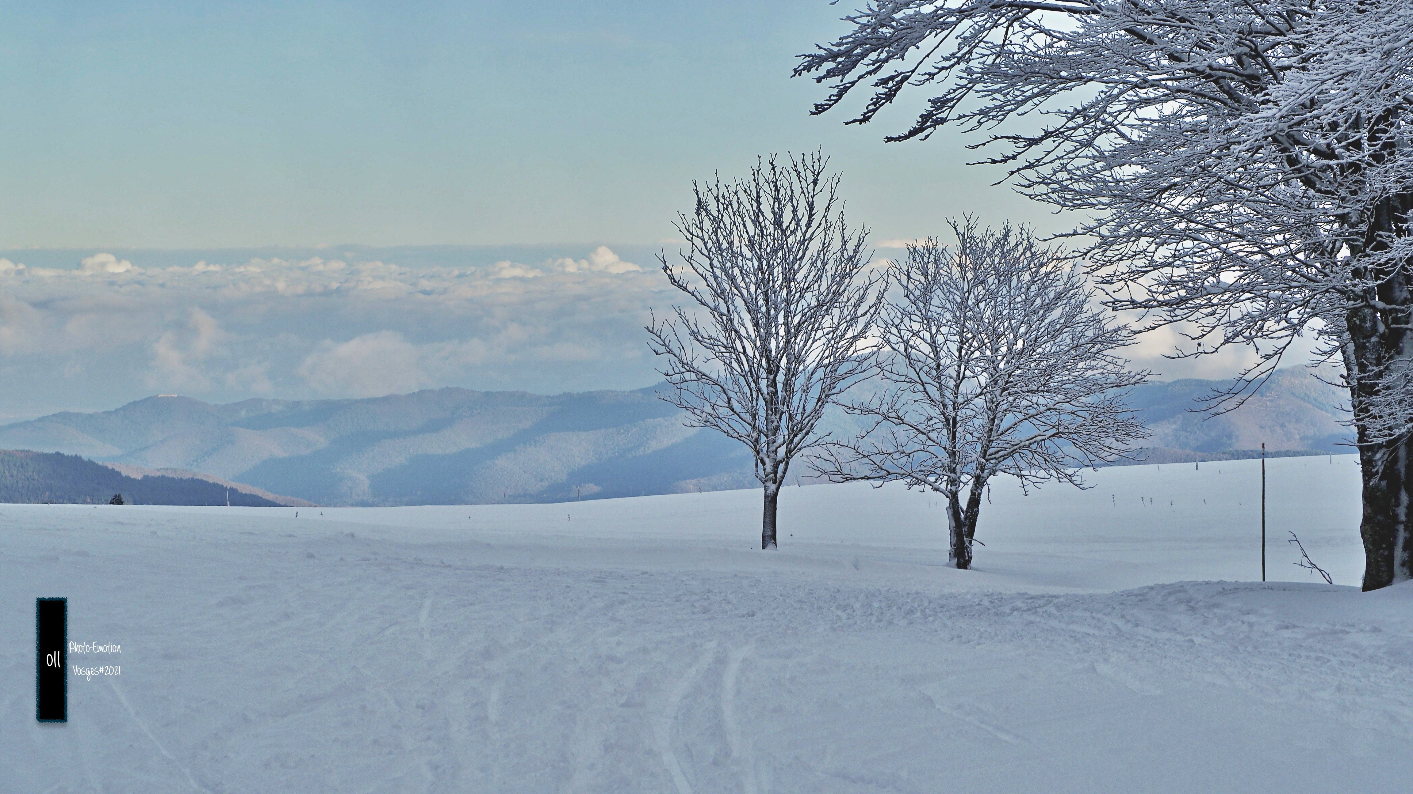 The snow