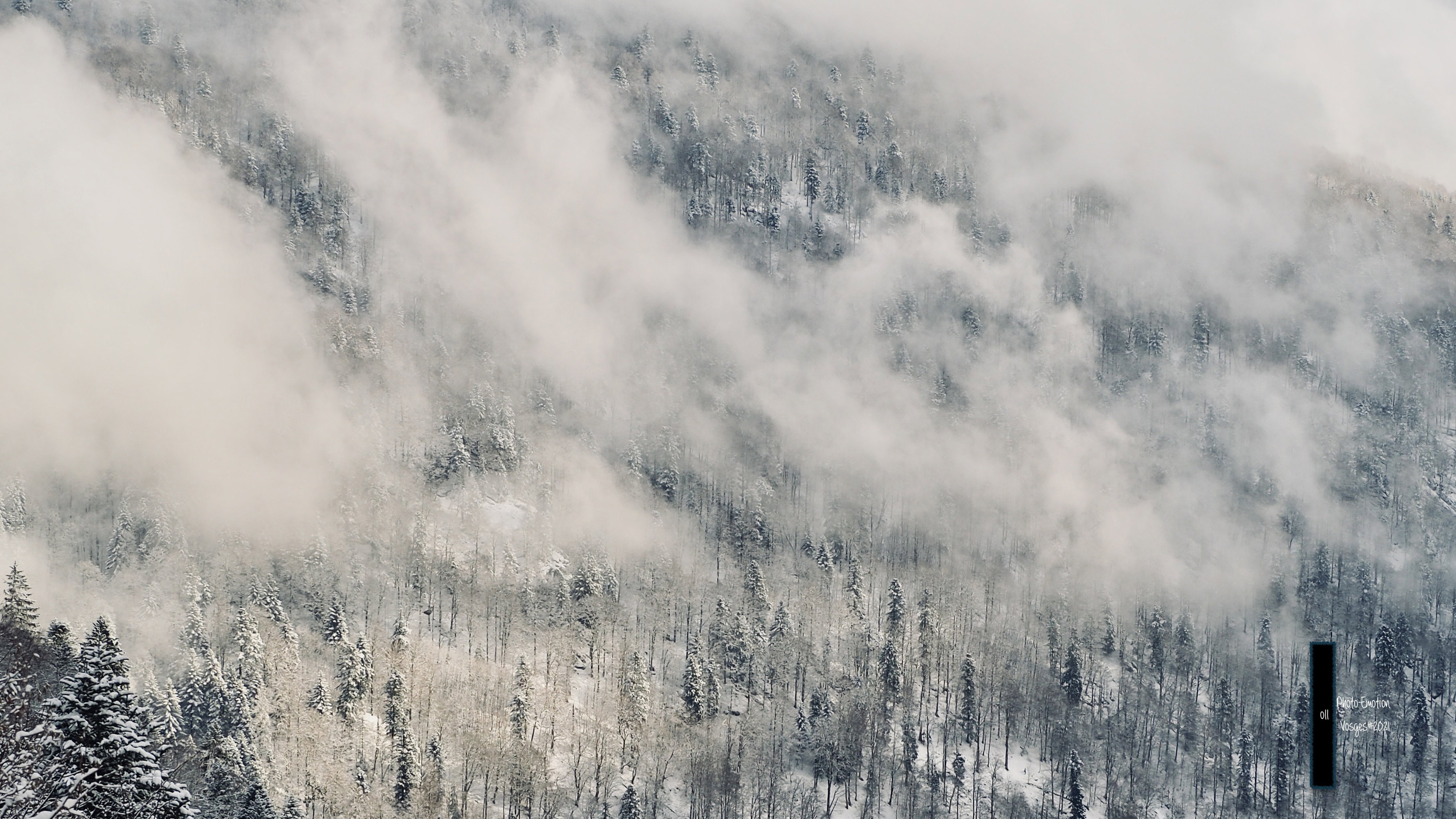 The snow