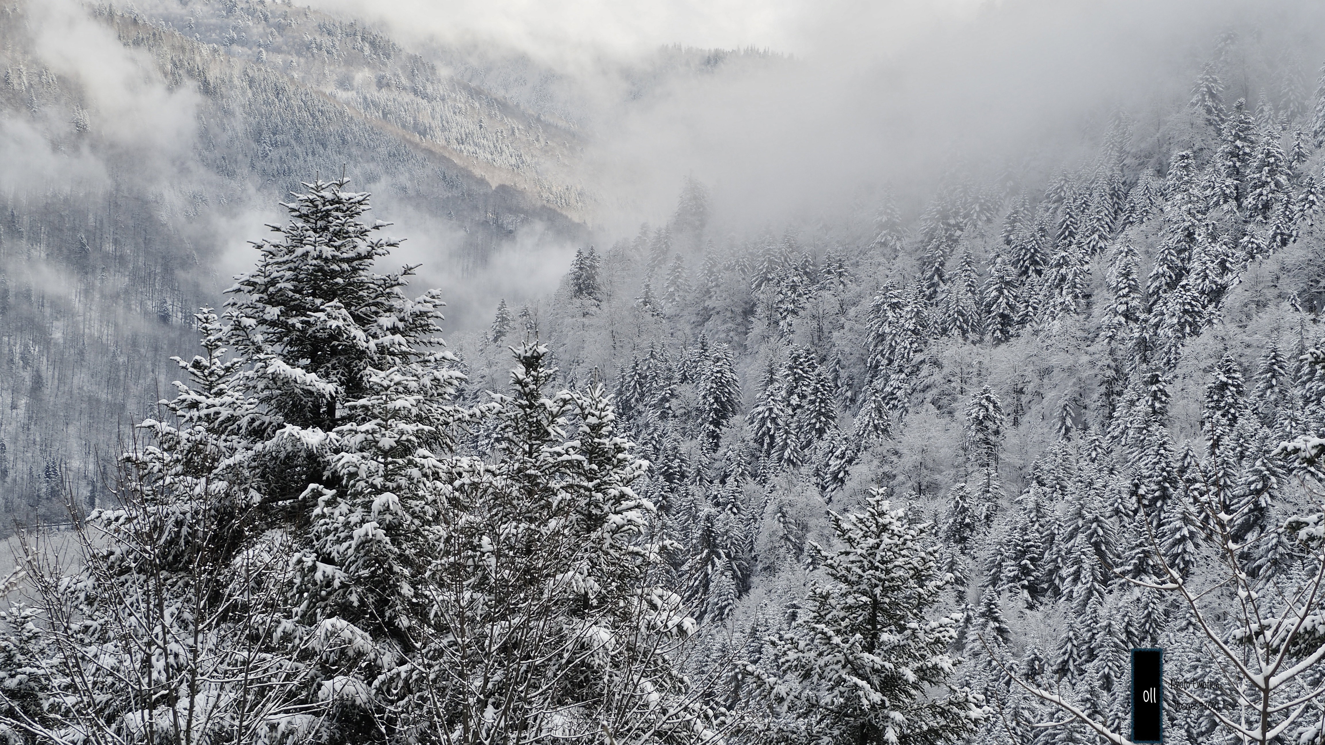 The snow