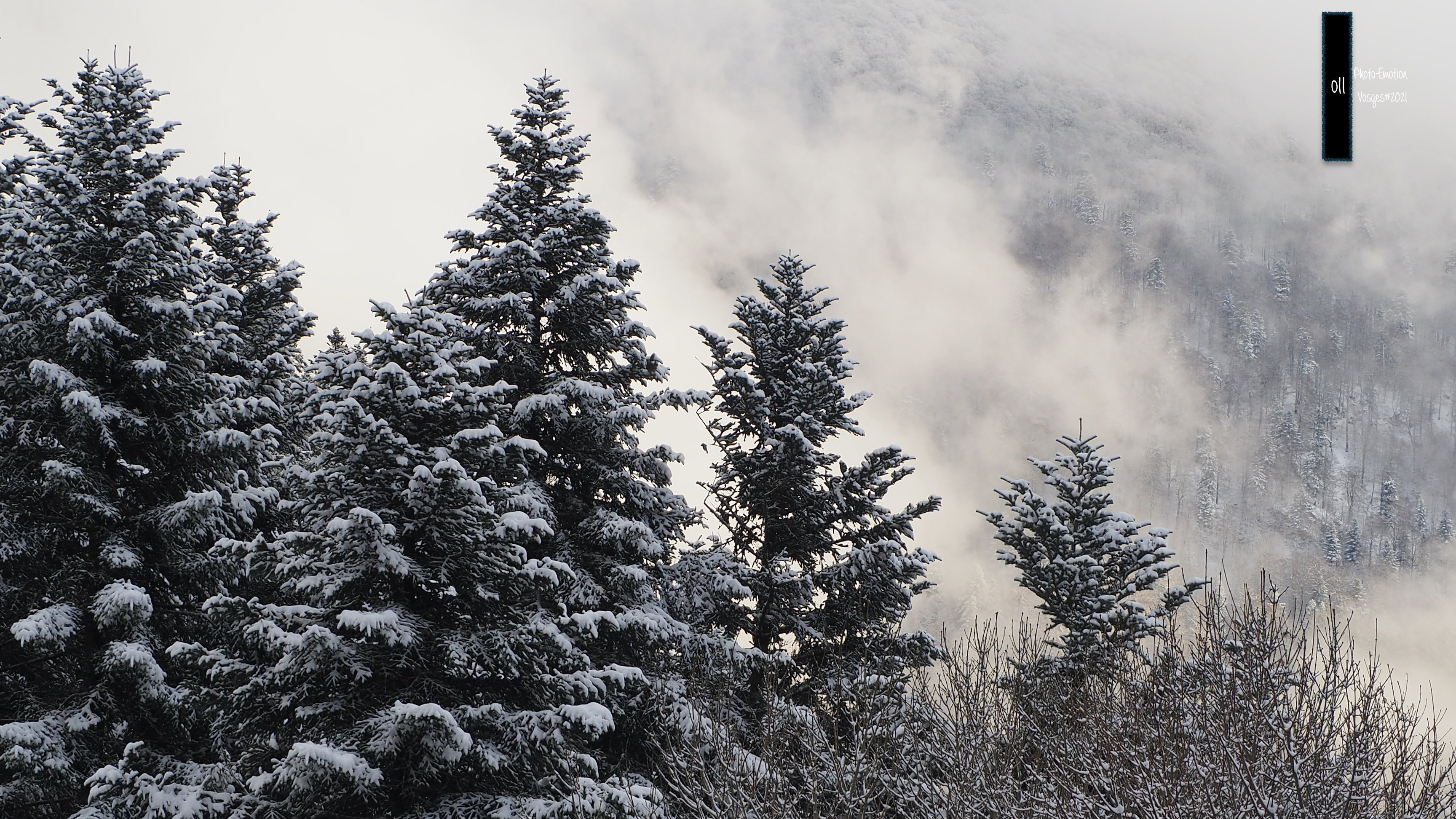 The snow