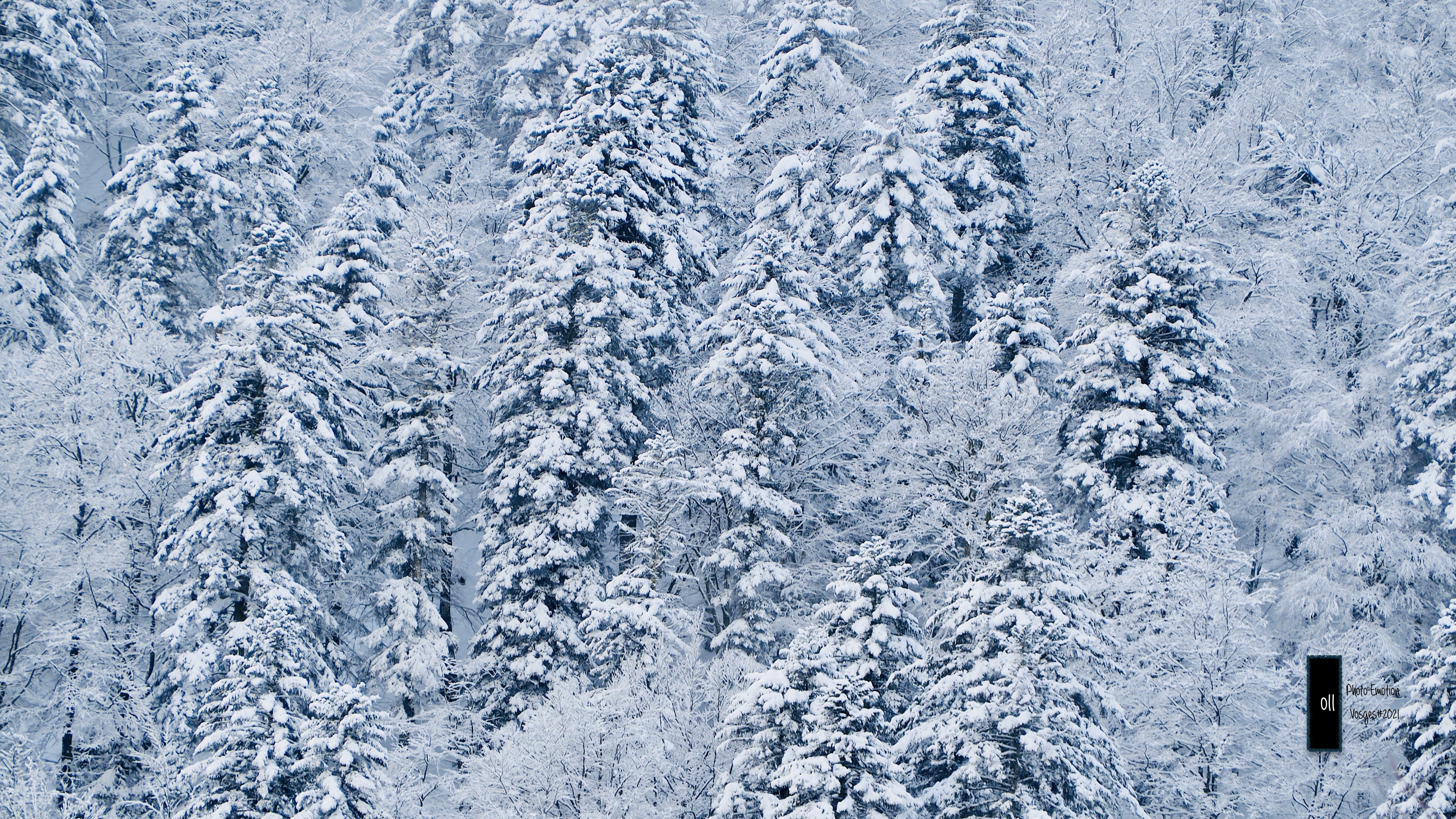The snow