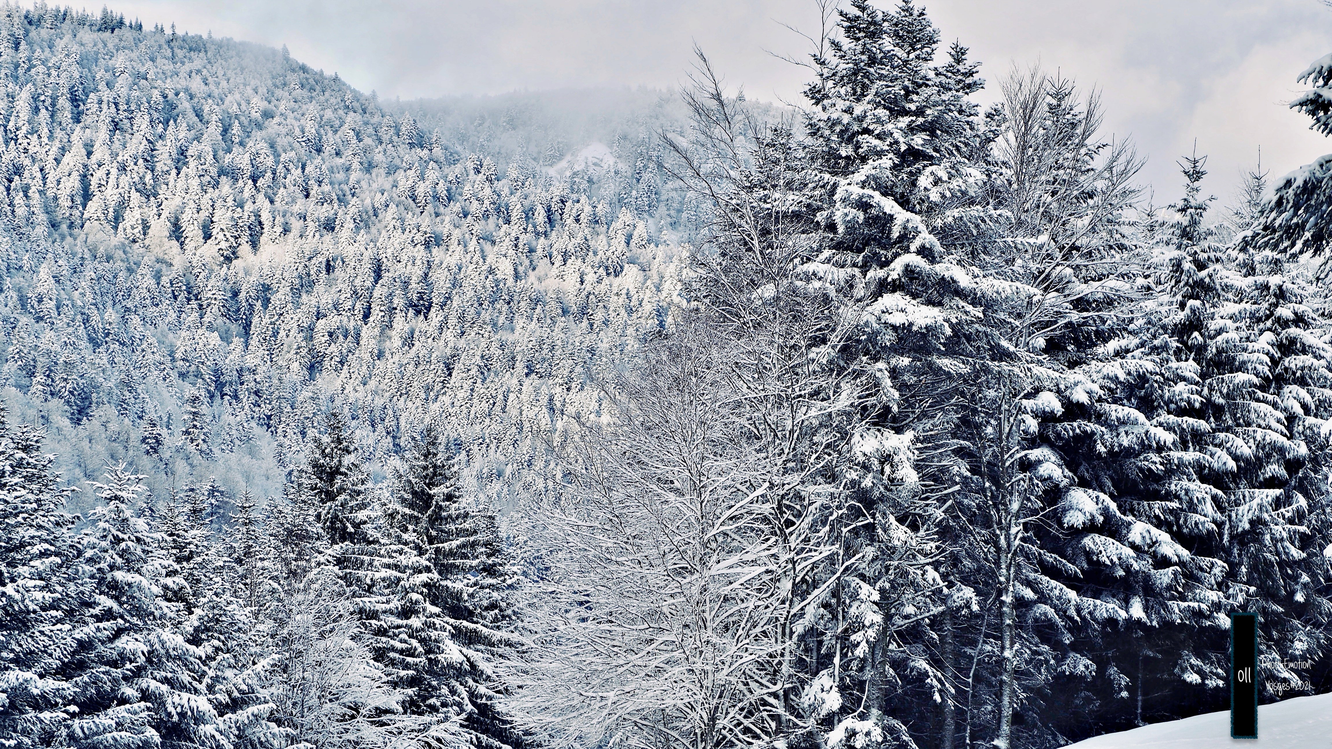 The snow
