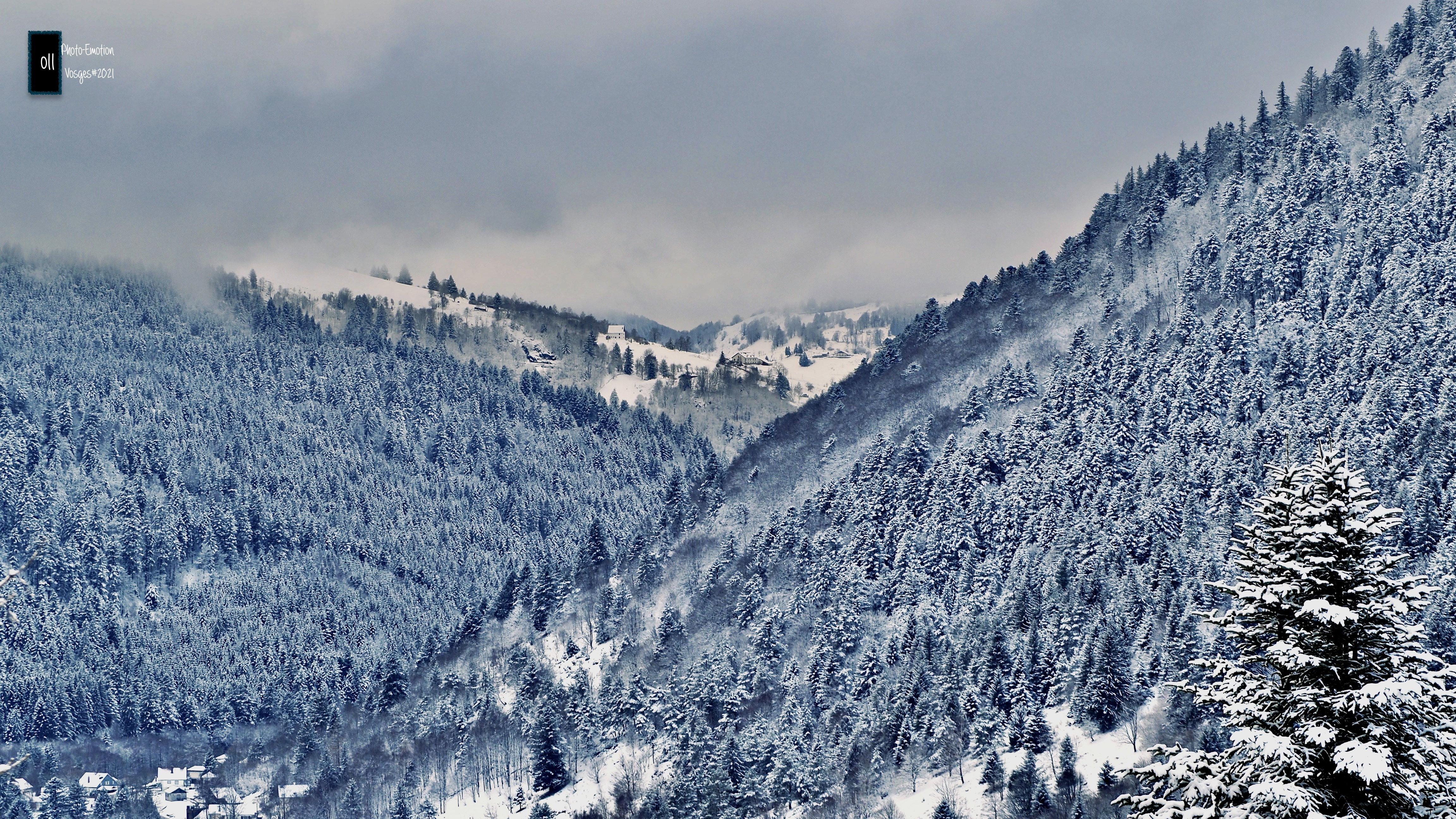 The snow