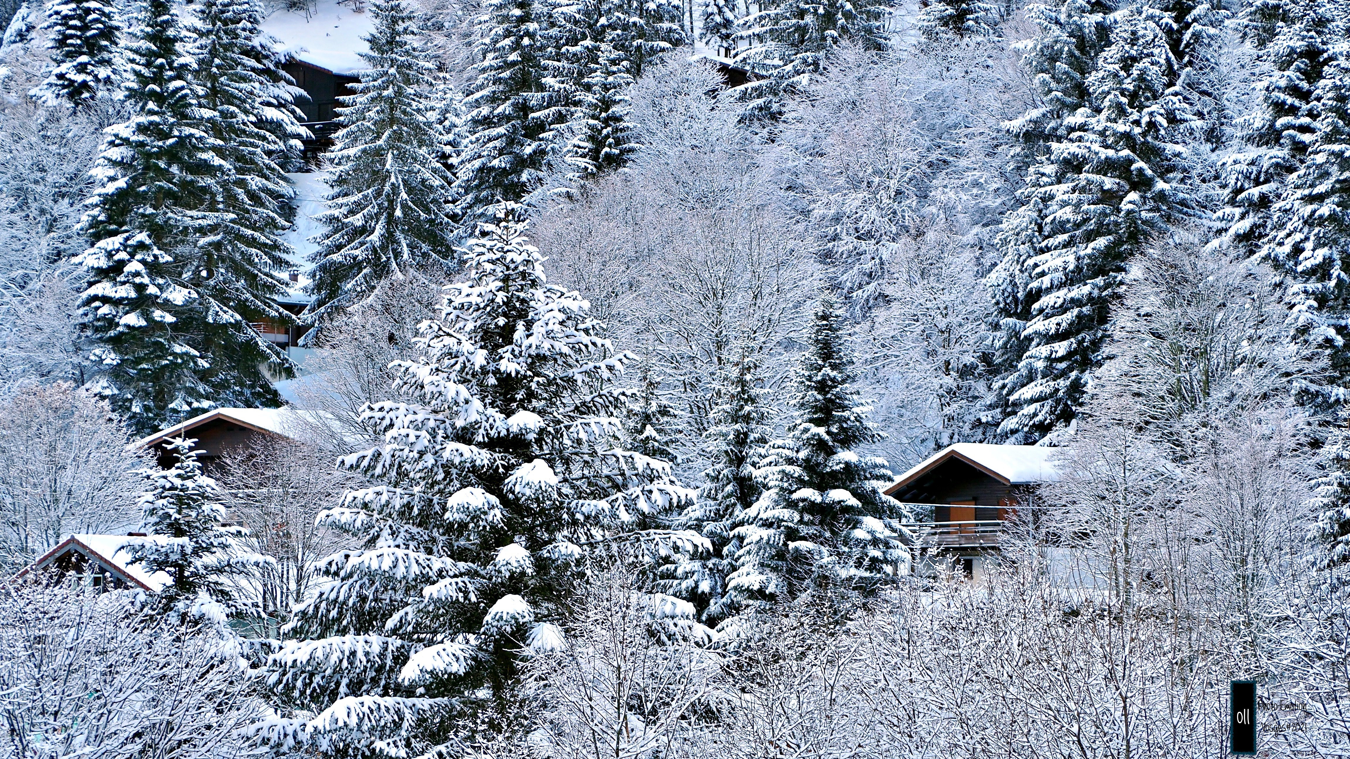 The snow
