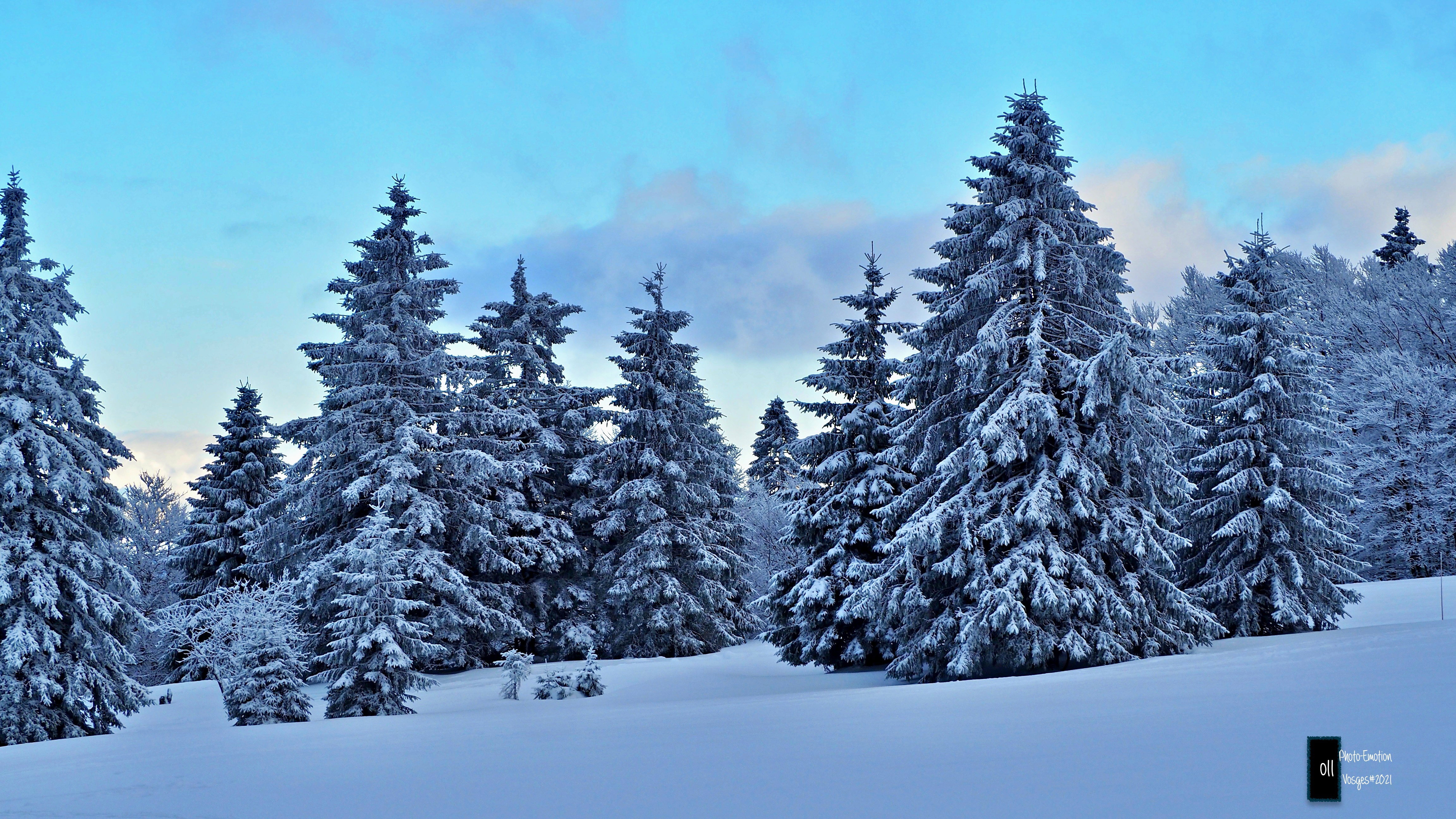 The snow