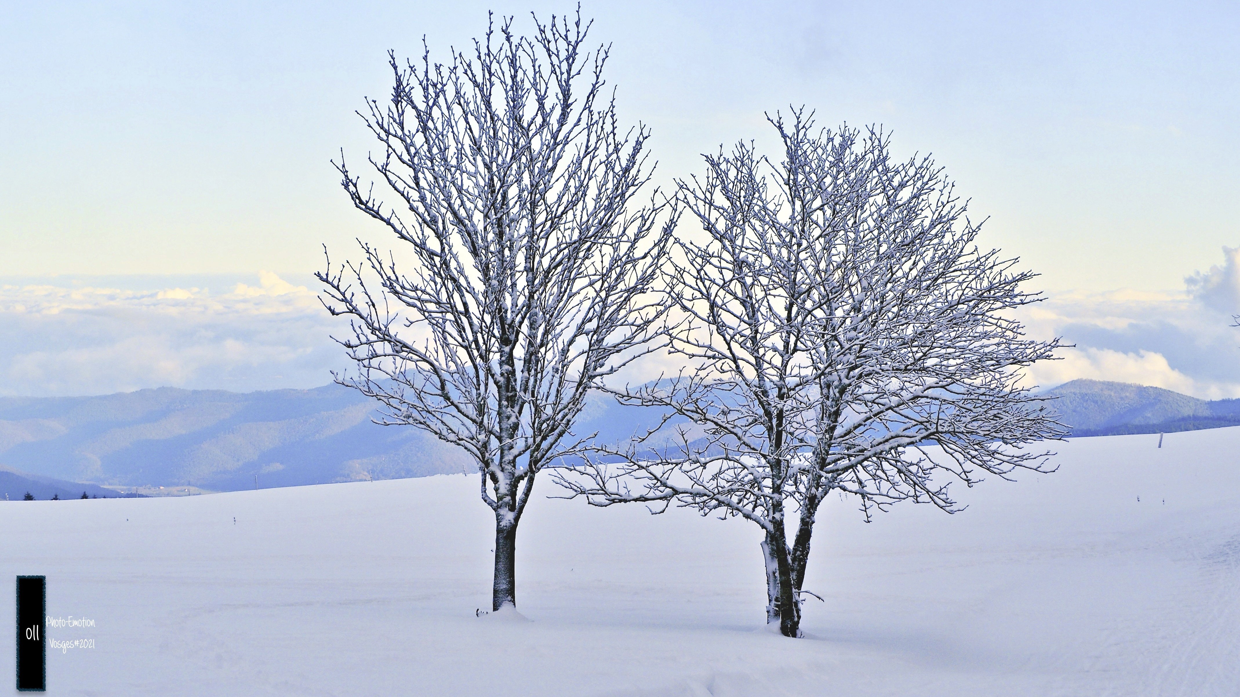 The snow