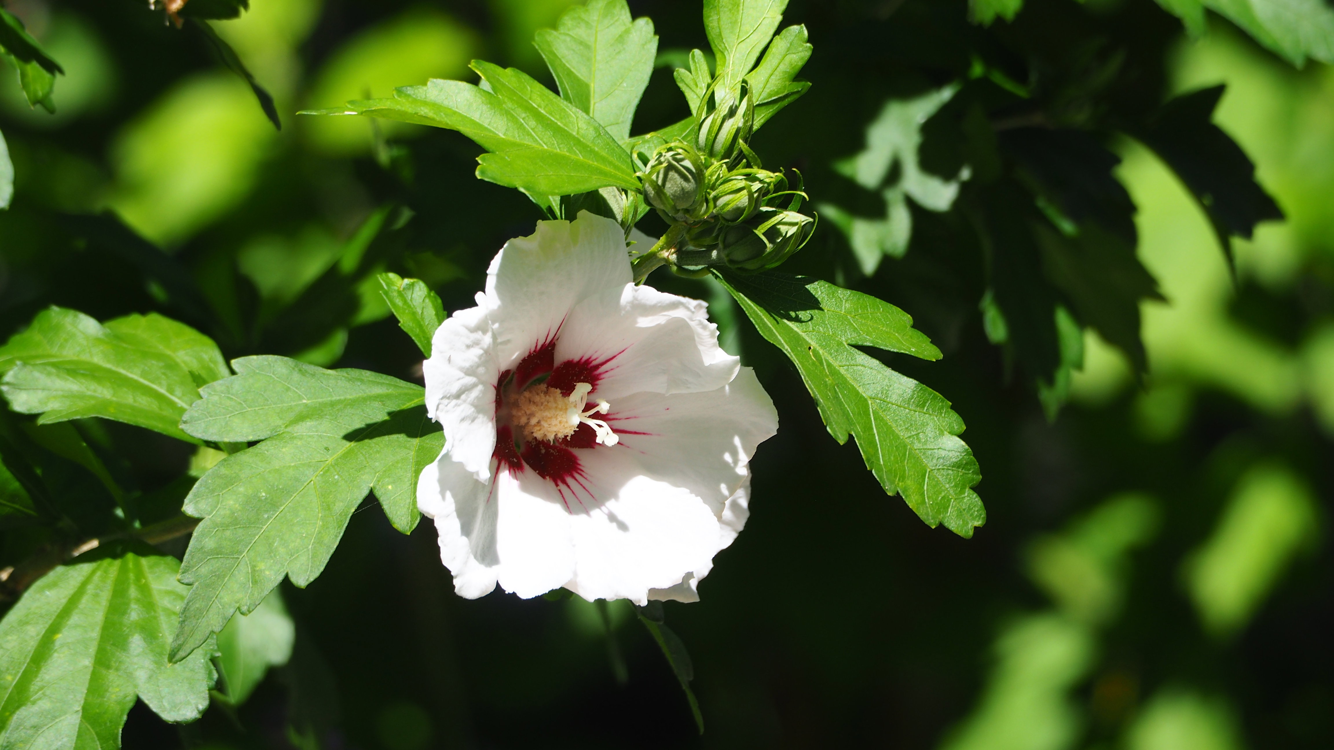 In summer