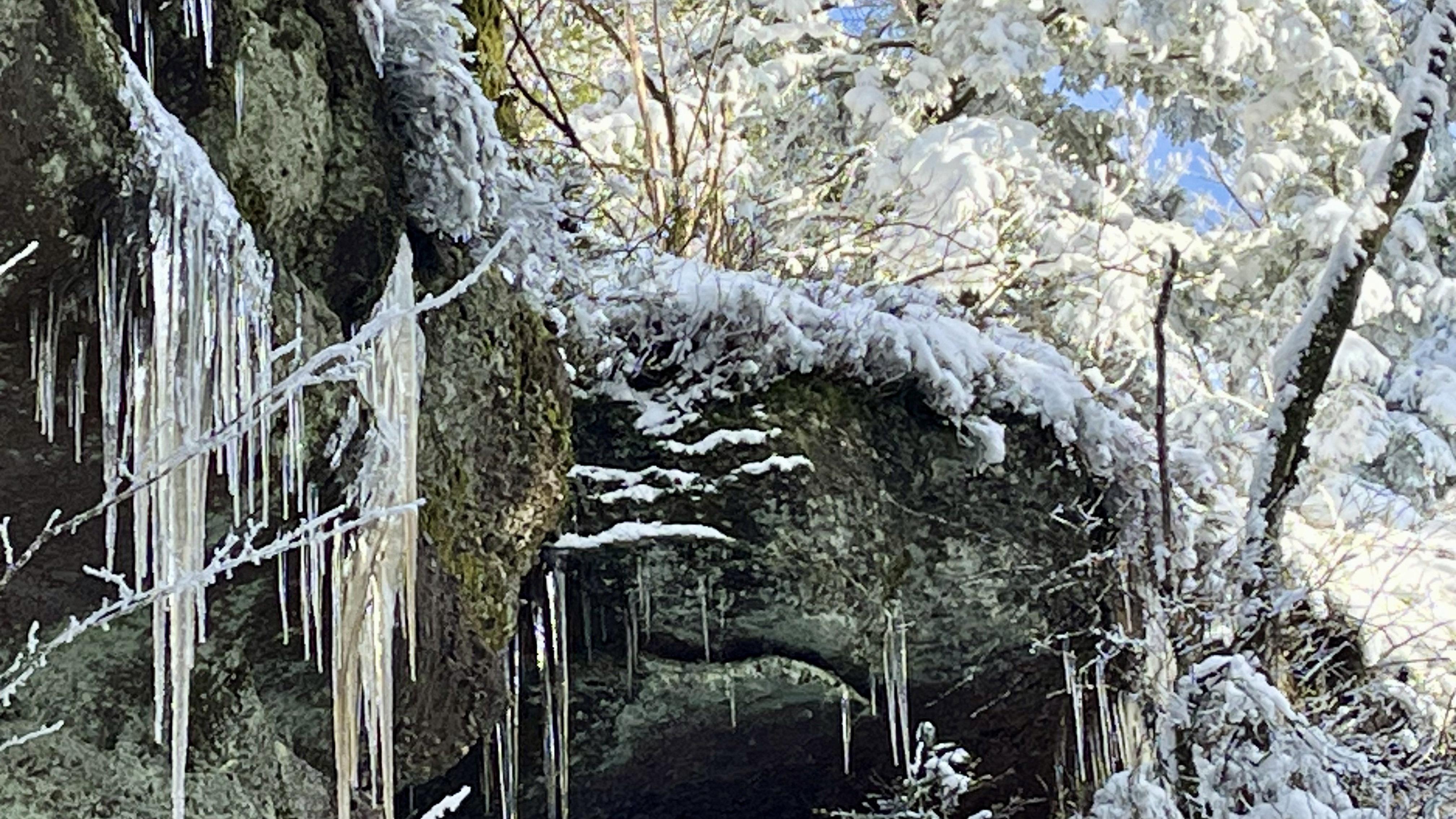 It's winter without perfumes or songs...