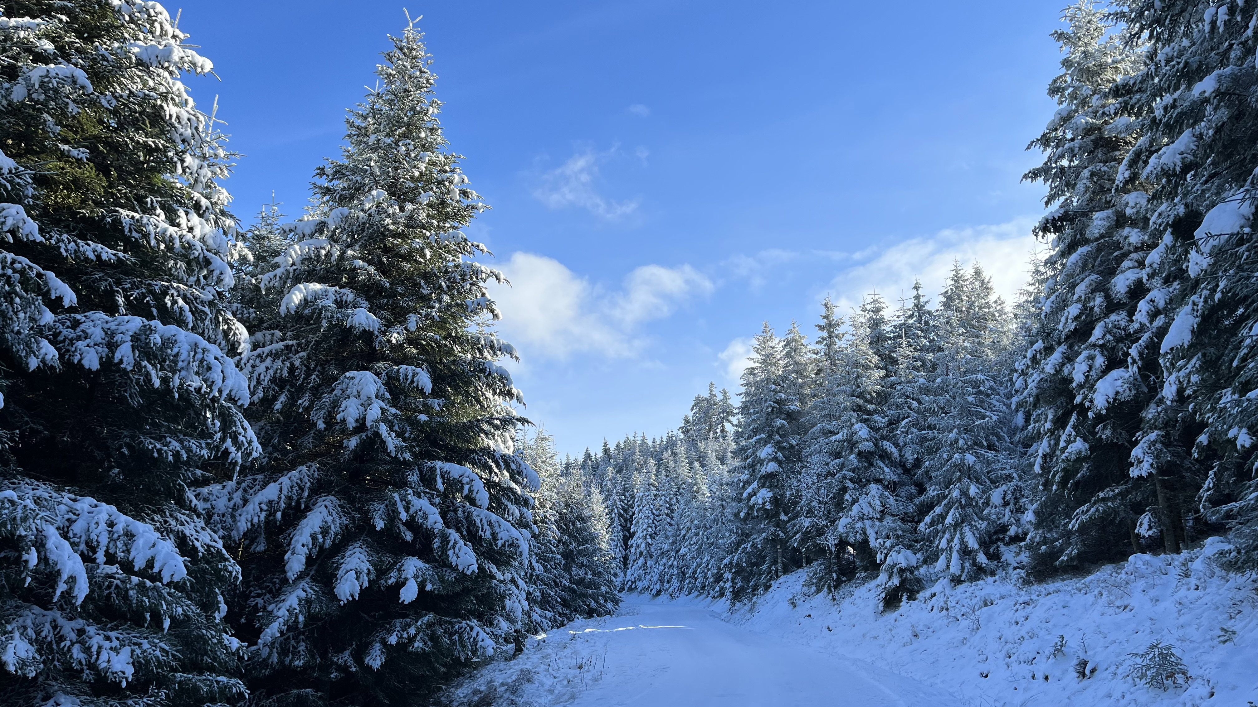 It's winter without perfumes or songs...