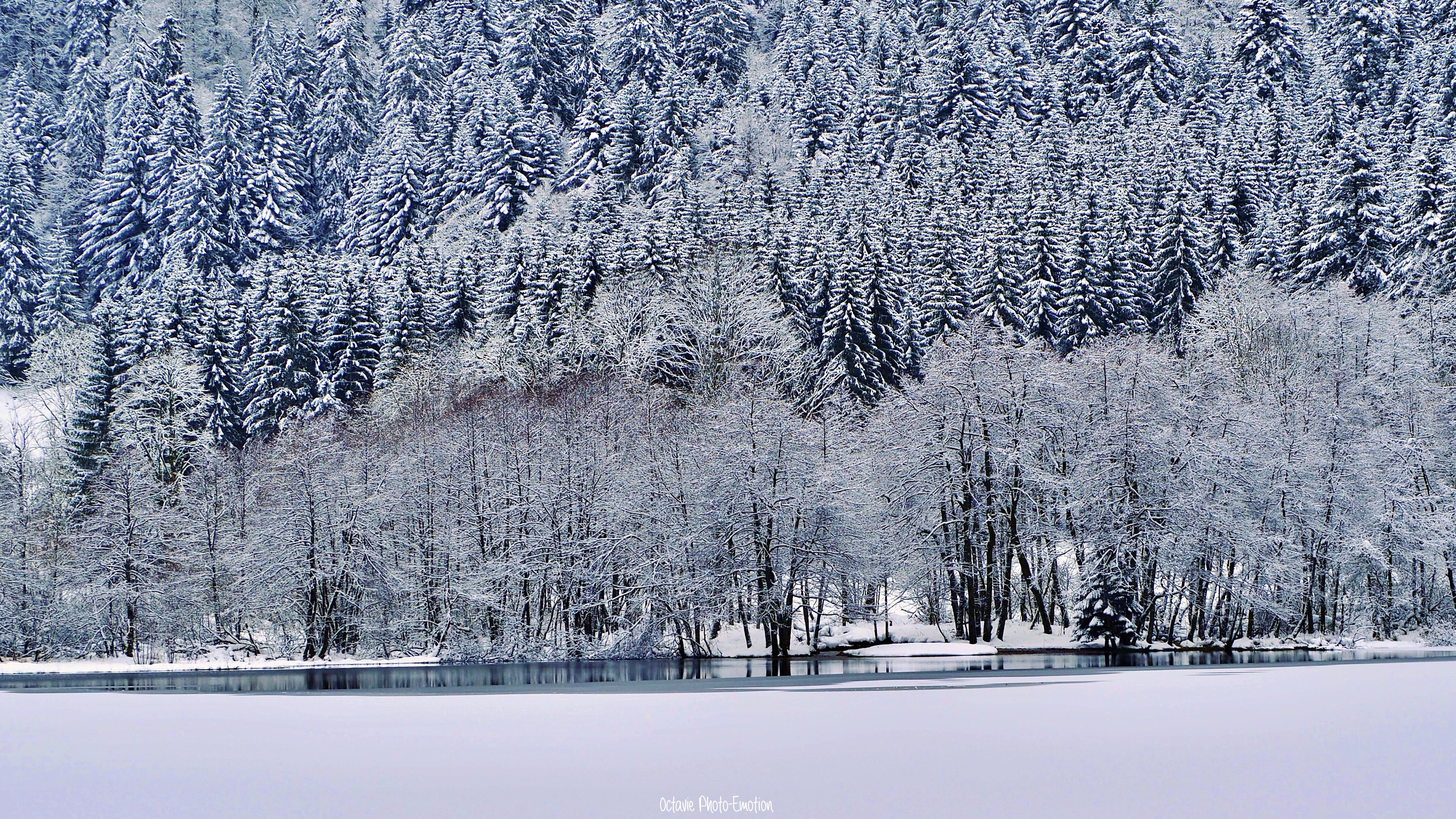 It's winter without perfumes or songs...
