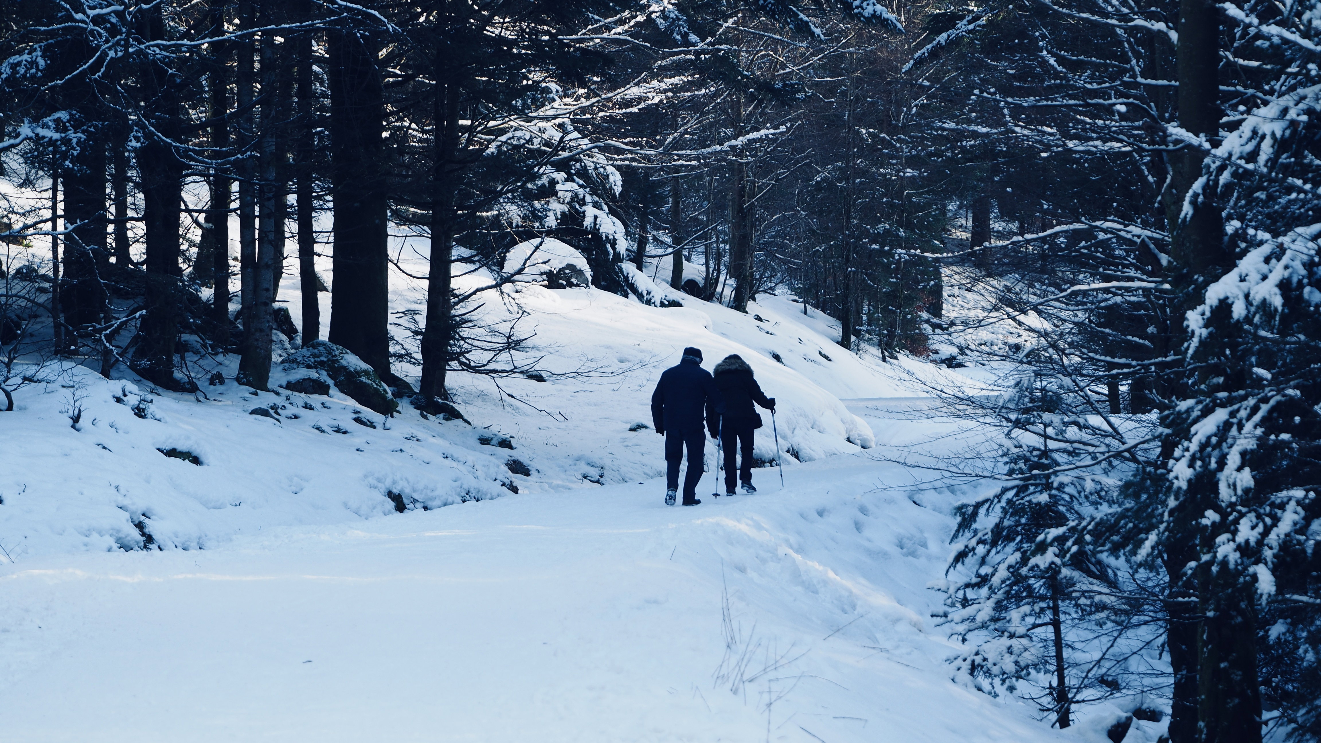 To wander, to look, to listen, that’s to live!