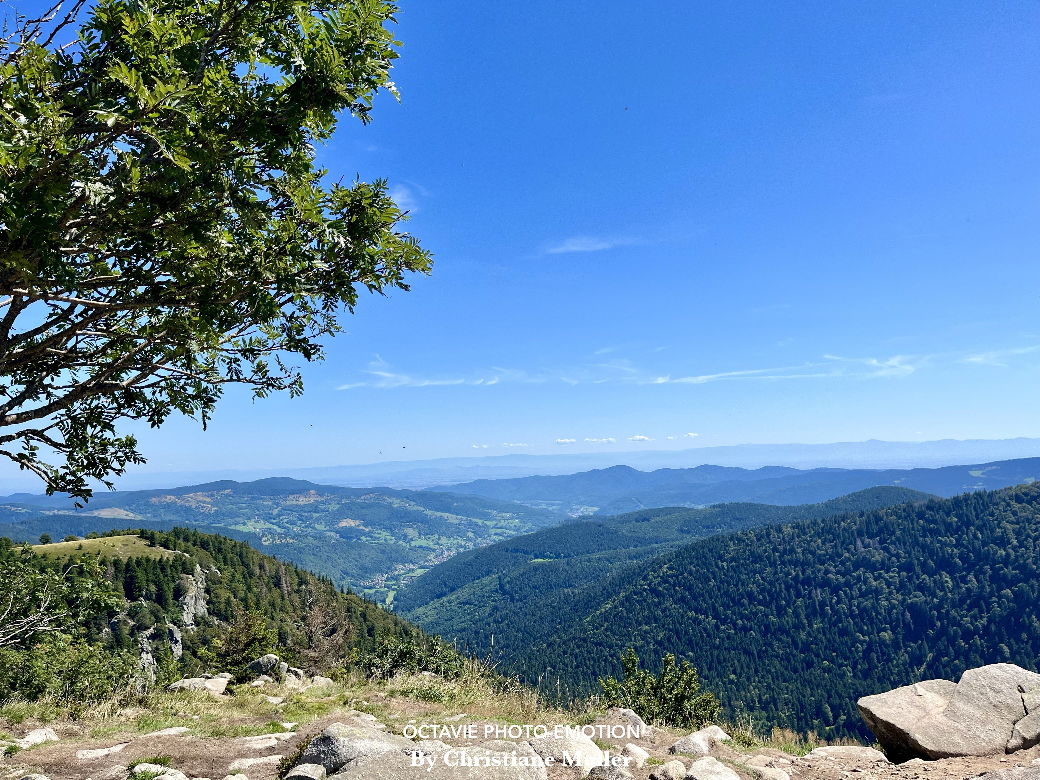 Mountain landscapes
