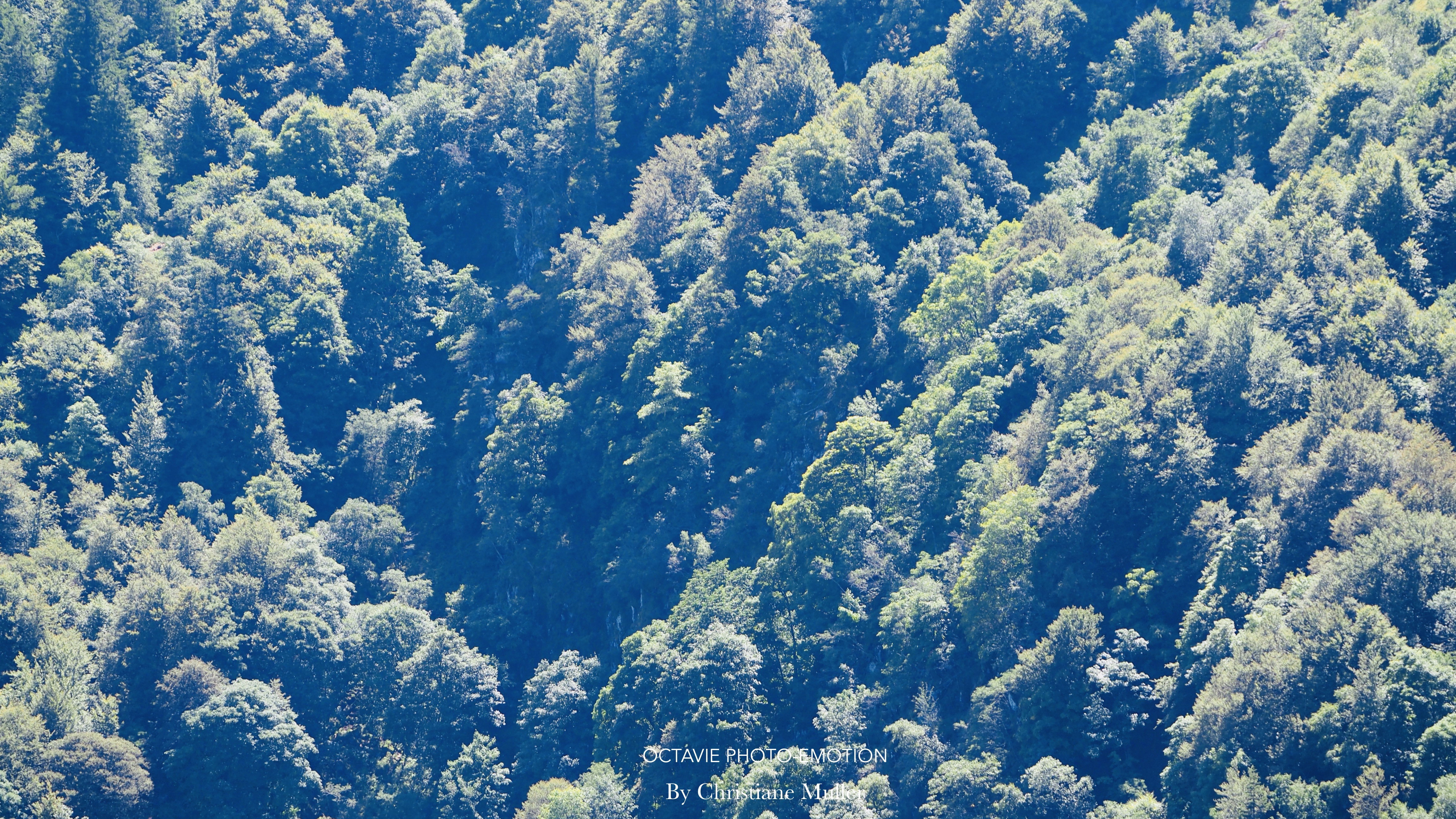 Mountain landscapes