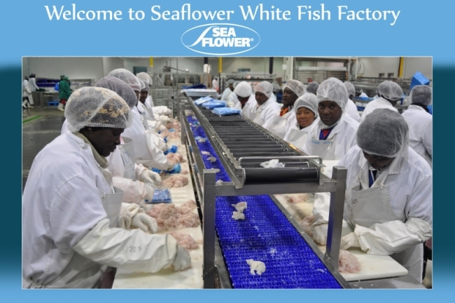 Seaflower White fish factory.