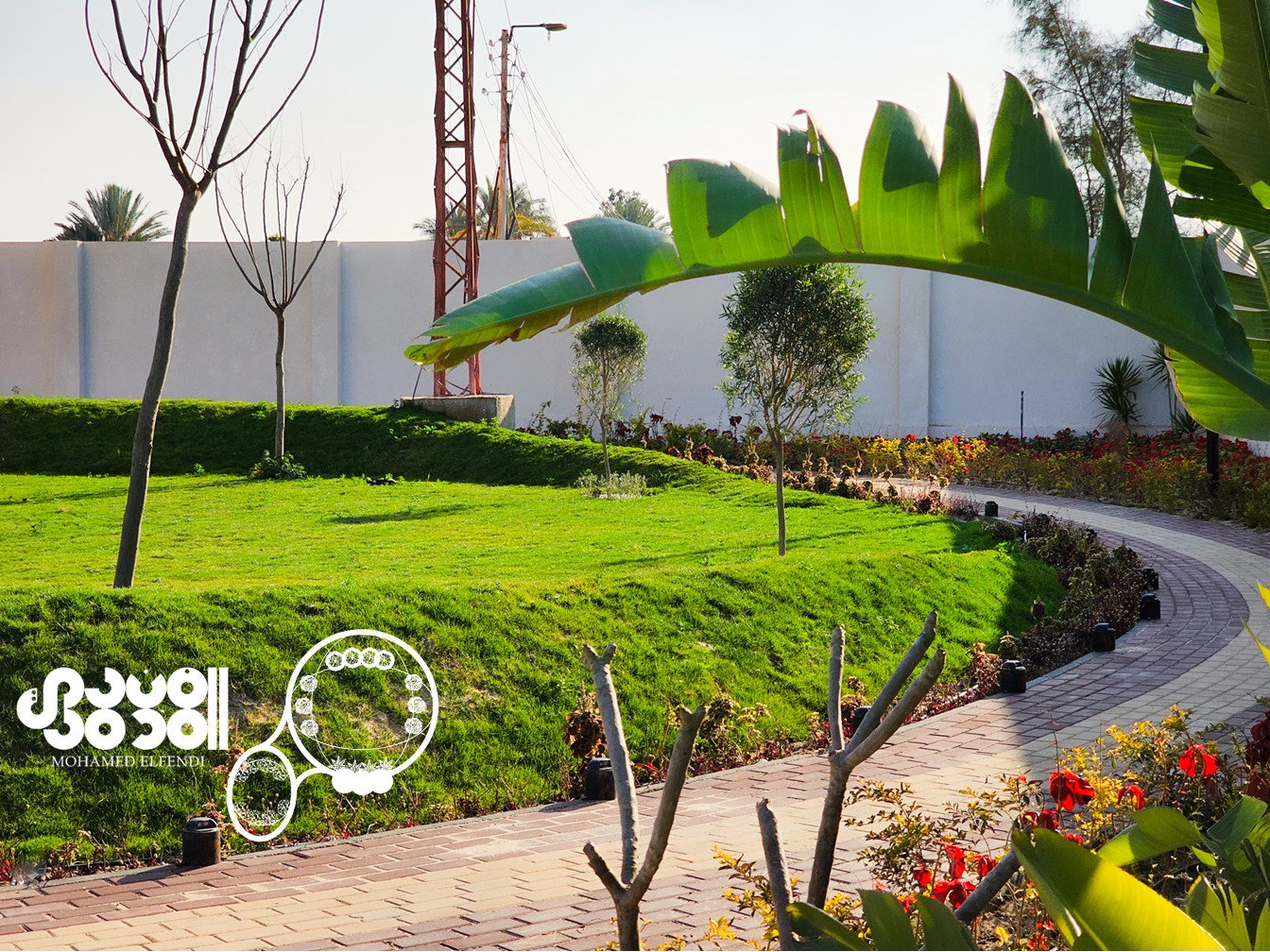 Design & Construction (2023)