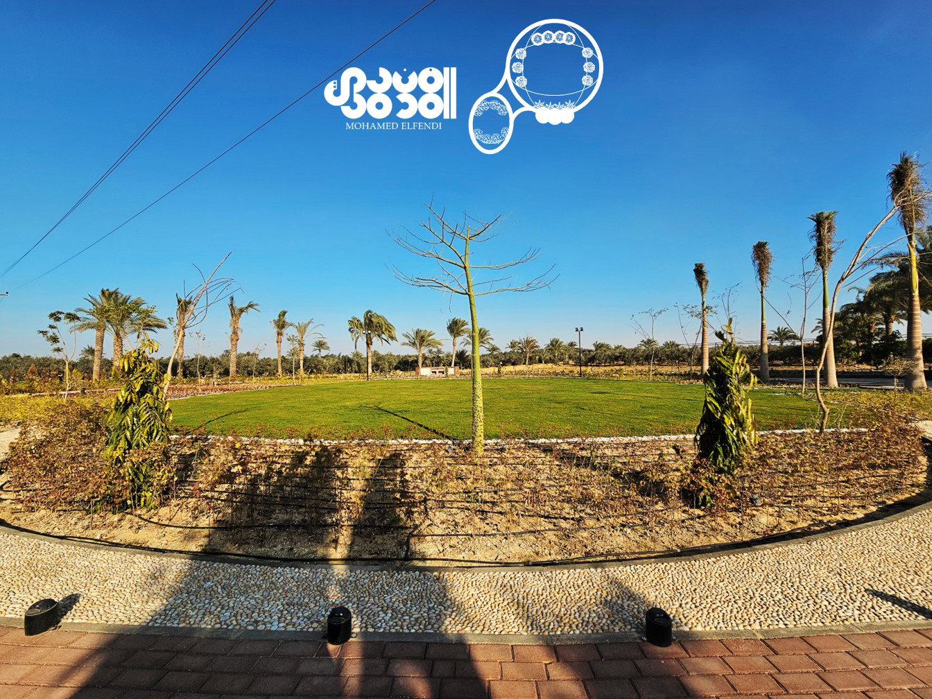 Design & Construction (2023)