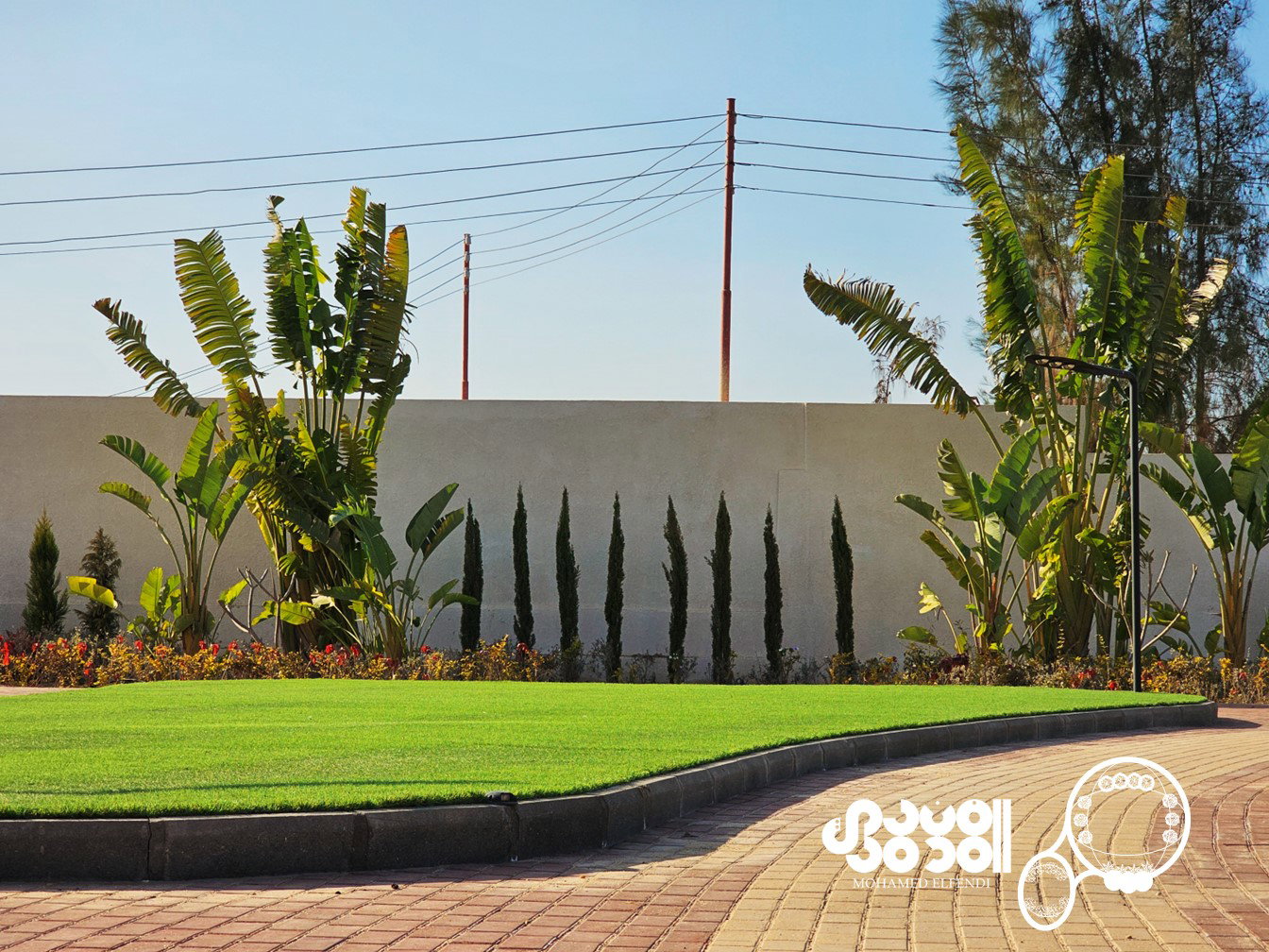 Design & Construction (2023)