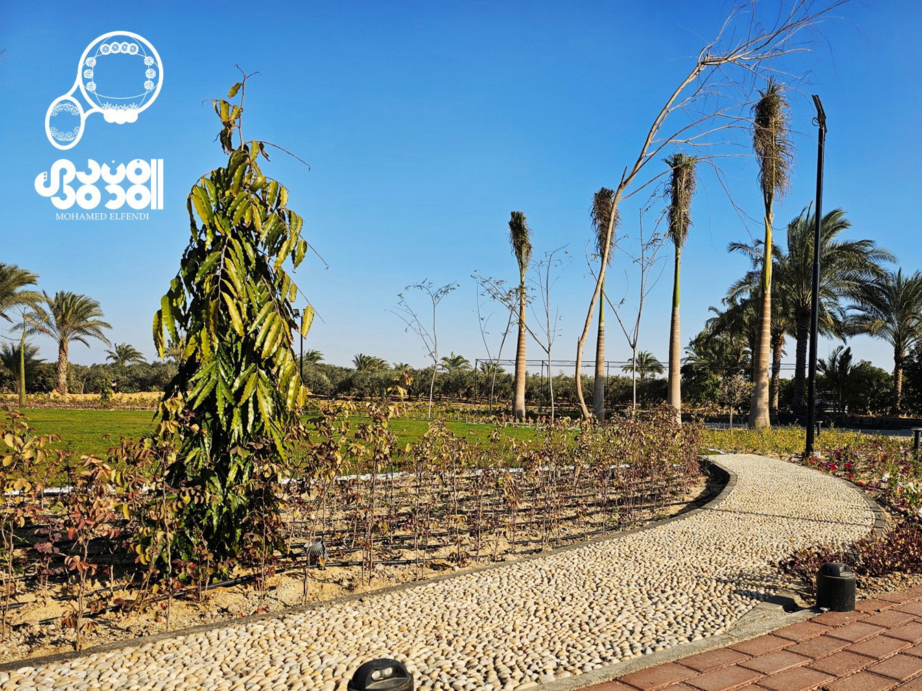 Design & Construction (2023)