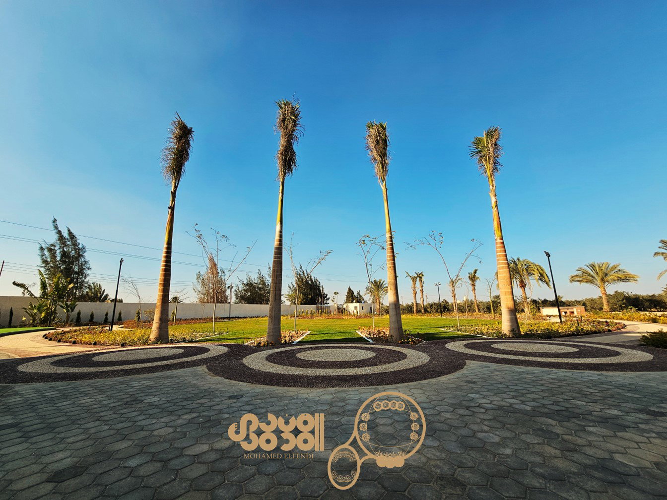 Design & Construction (2023)