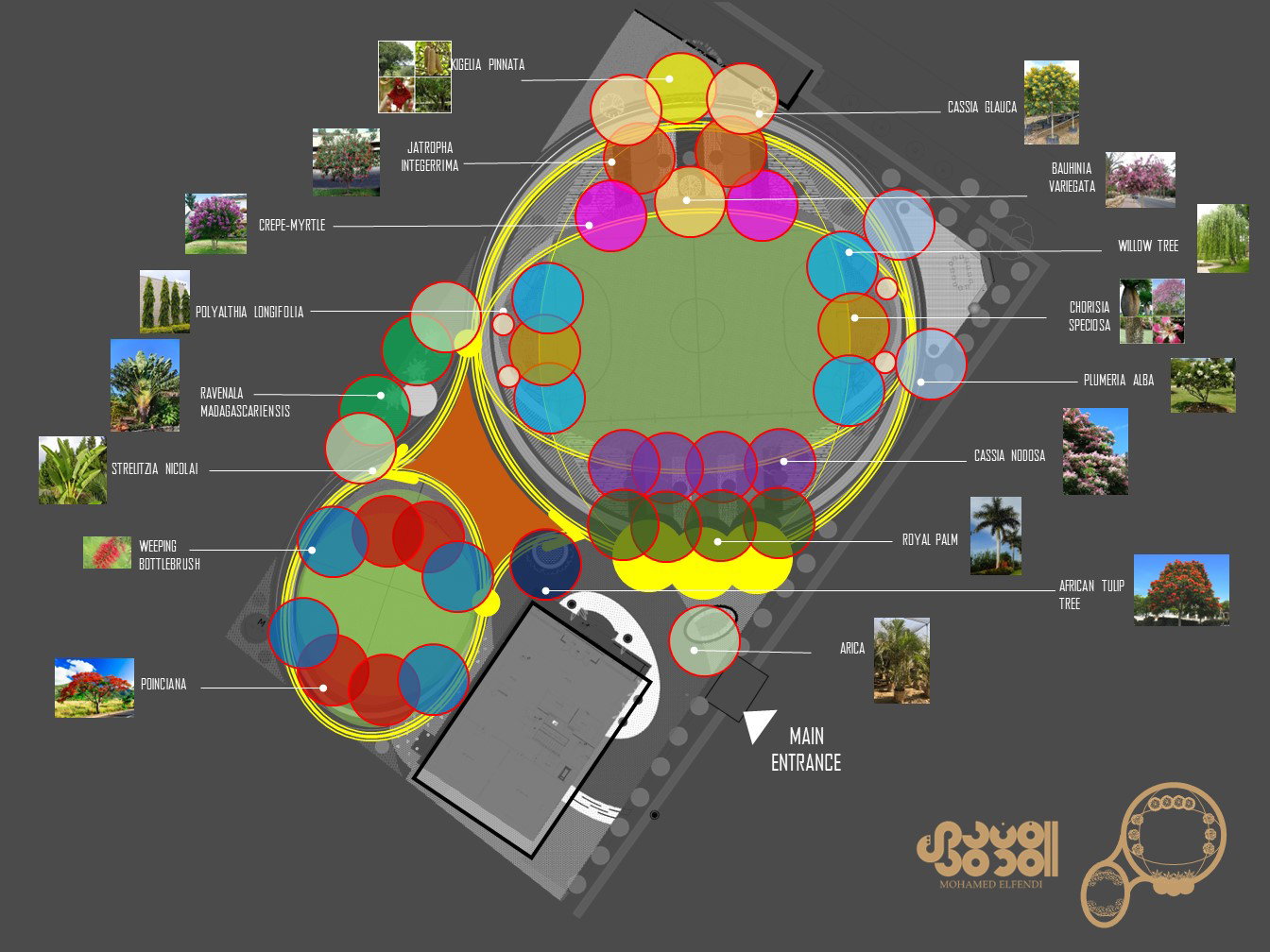 Design & Construction (2023)