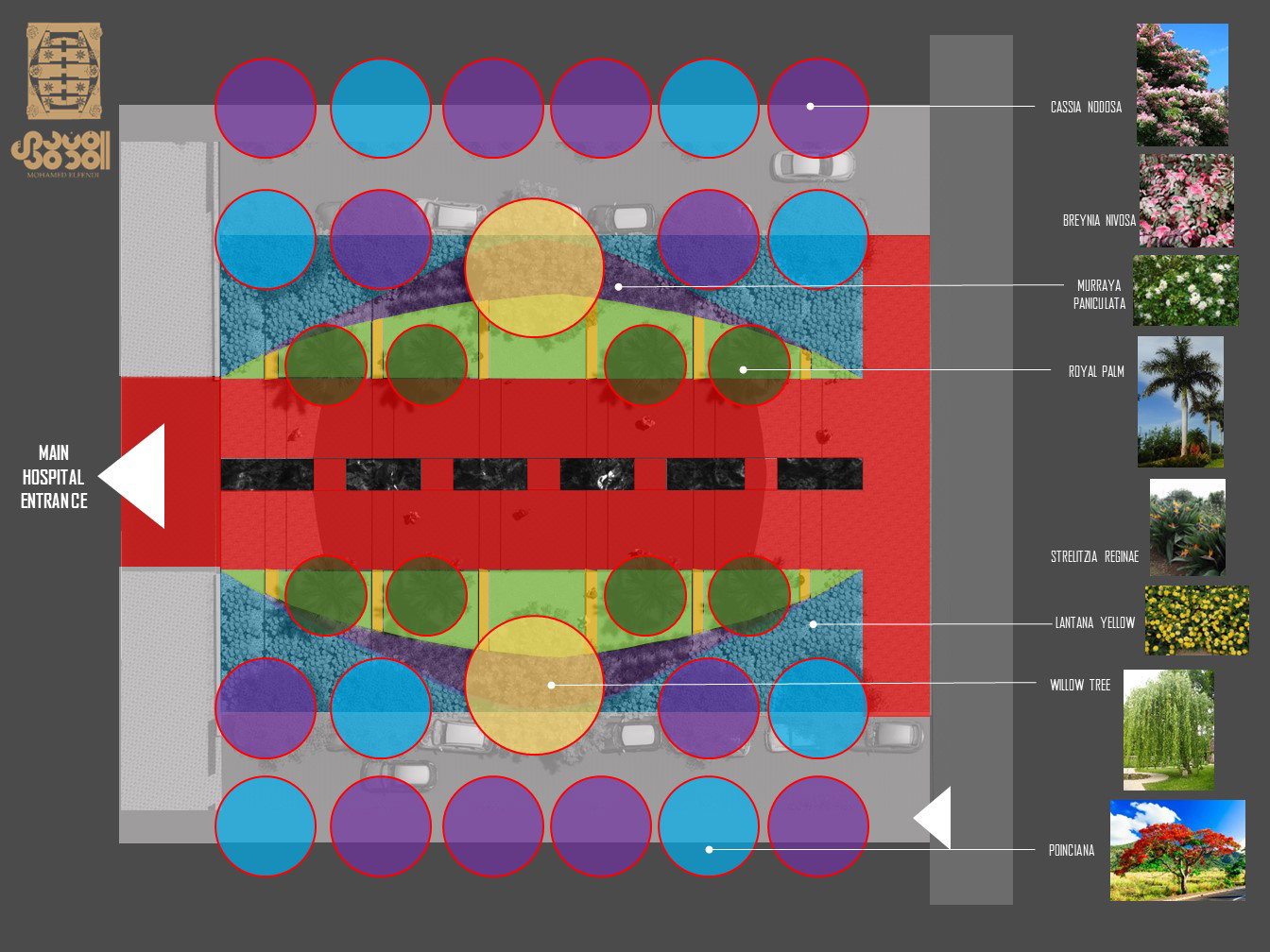 Design & Construction (2023-2024)