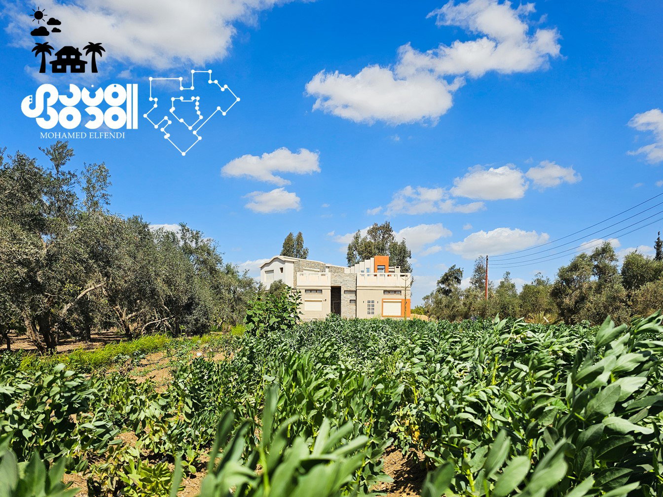 Design & Construction (2016-2020)