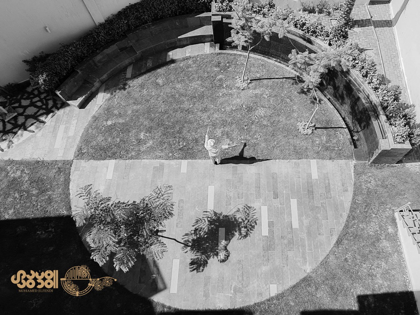 Design & Construction (2019)