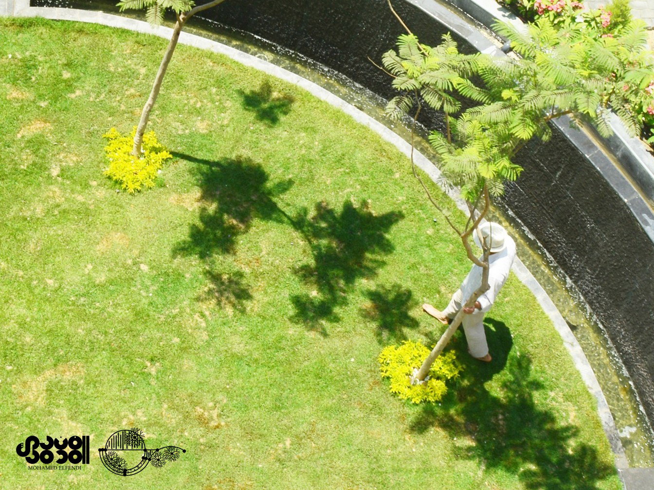 Design & Construction (2019)