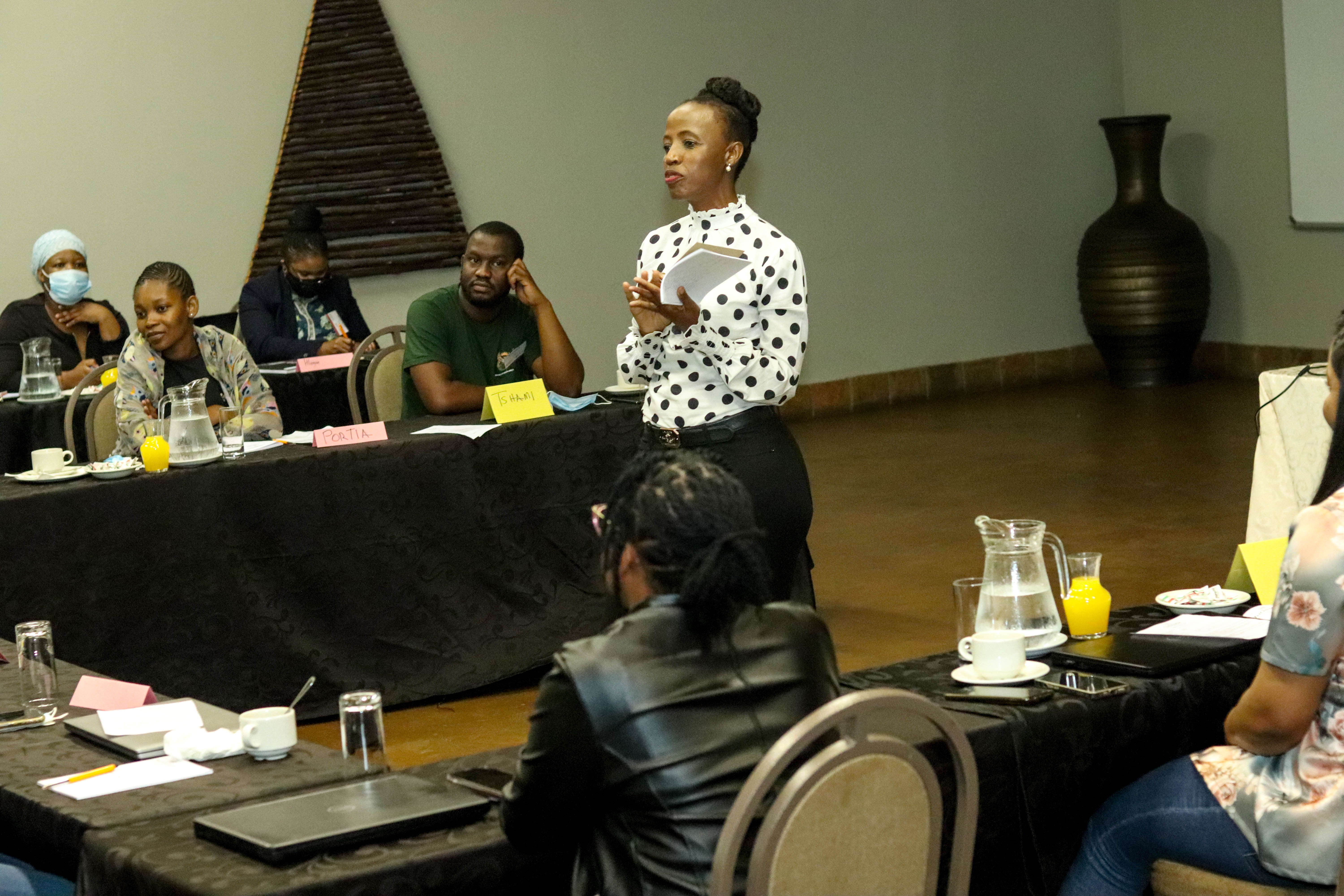 ATELIER DE STRATÉGIE D'ATTÉNUATION, DE SUIVI ET D'ÉVALUATION DFFE-GIZ ET TEAM BUILDING CSP4 ET PROJET COOPÉRATIF DFFE POUR 2022/2023