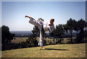 Traditional Taekwondo
