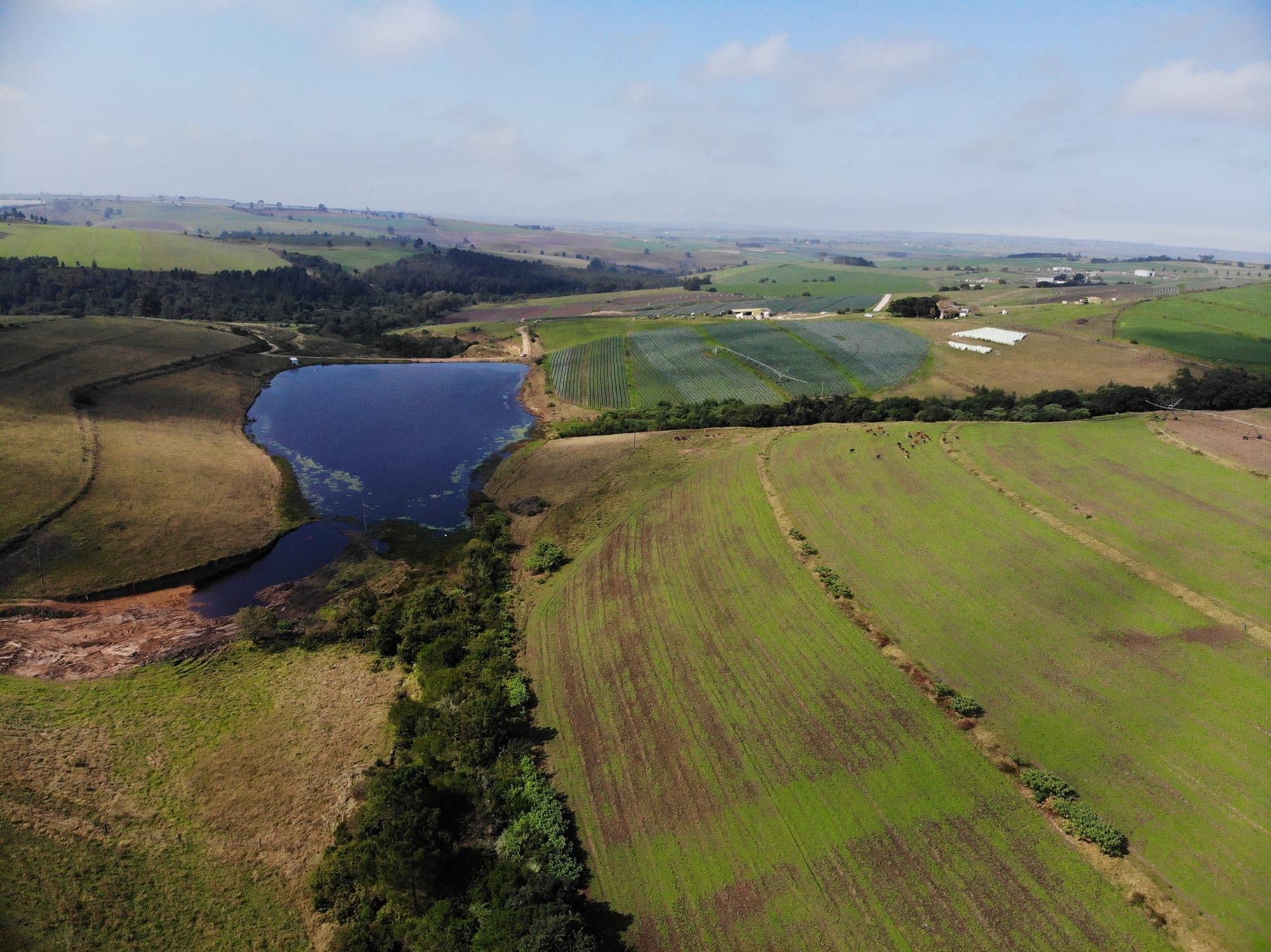 Uitsig Dam Expansion, Mossel Bay - Green Fire Enviro