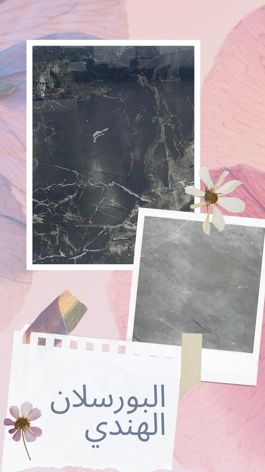 نتميز بكم على الدوام