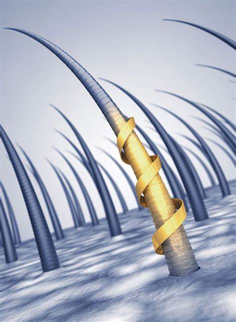 Cabello saludable brilla