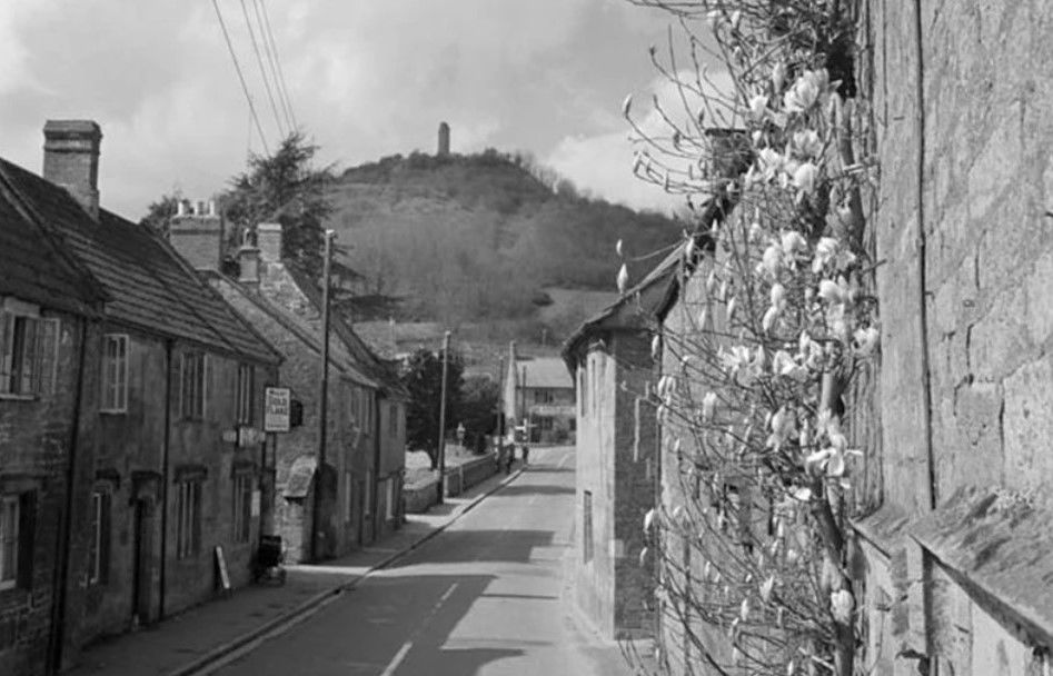 black and white photo looking up middle street looking up to the tower on the hill. in the foreground a house on the right has a magnolia against the wall.