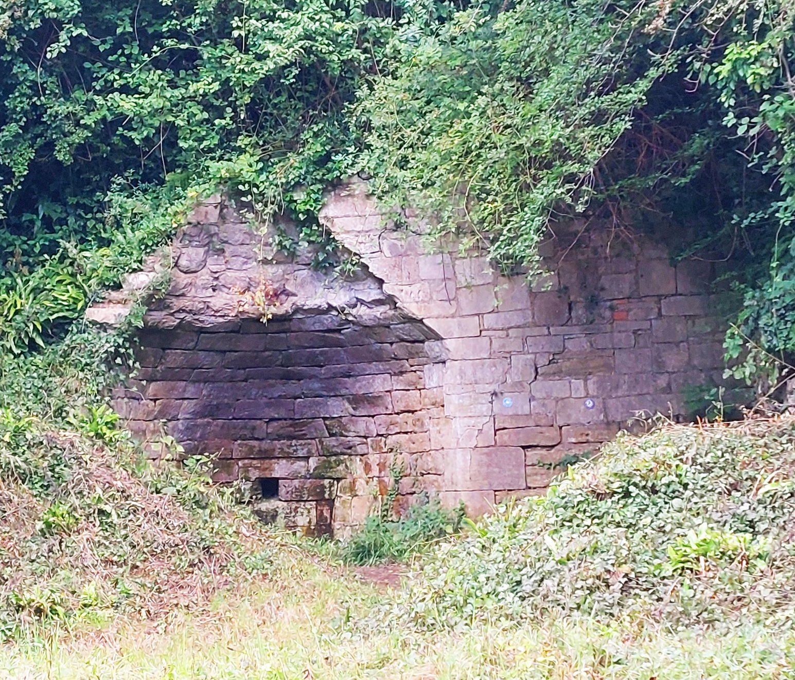 Photo showing hamstone blockwork set into the side of a bank, surrounded by overhanging foliage. The ashlar face is vertical on the right of the picture. on the left of the photo the blockwork forms a semicircular recess with a conical upper bringing it out to the level of the rest of the wall.