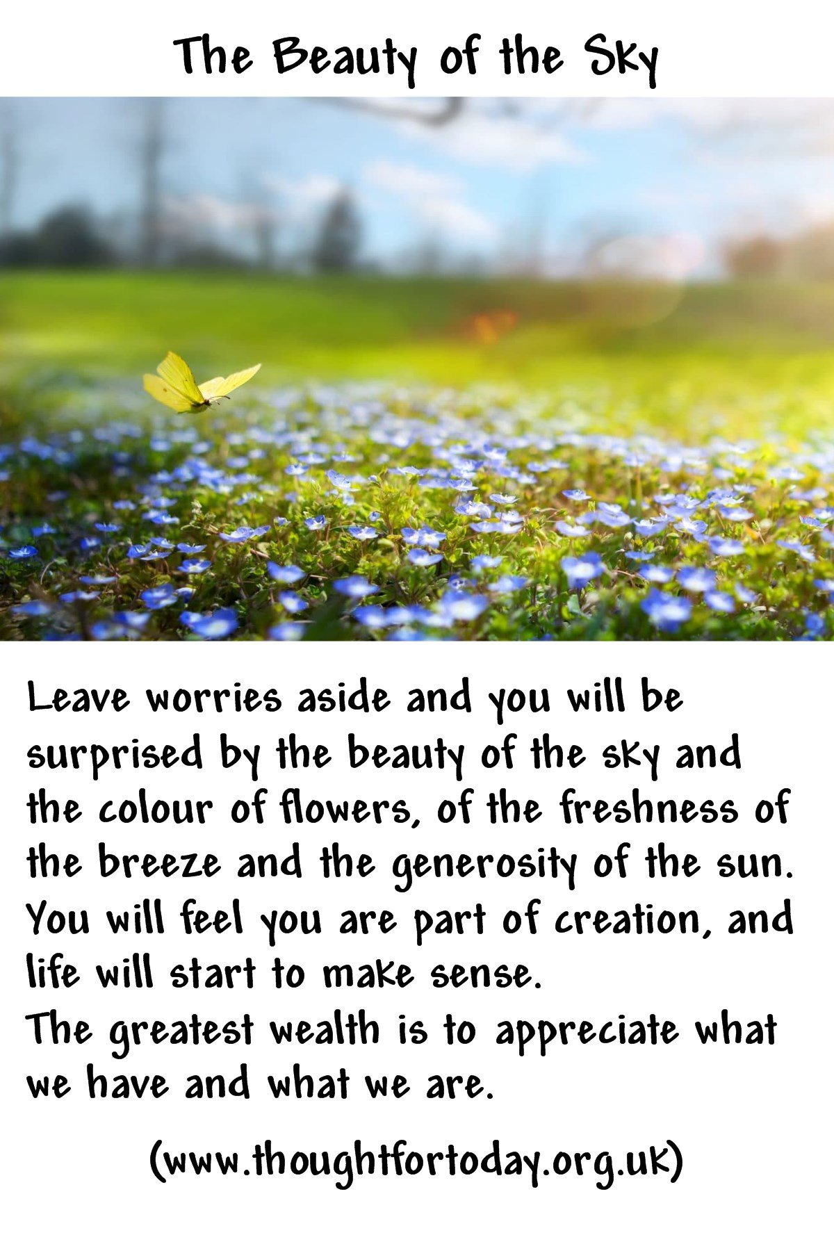Leave worries aside and you will be surprised by the beauty of the sky and the colour of flowers, of the freshness of the breeze and the generosity of the sun. You will feel you are part of creation, and life will start to make sense.  The greatest wealth is to appreciate what we have and what we are.